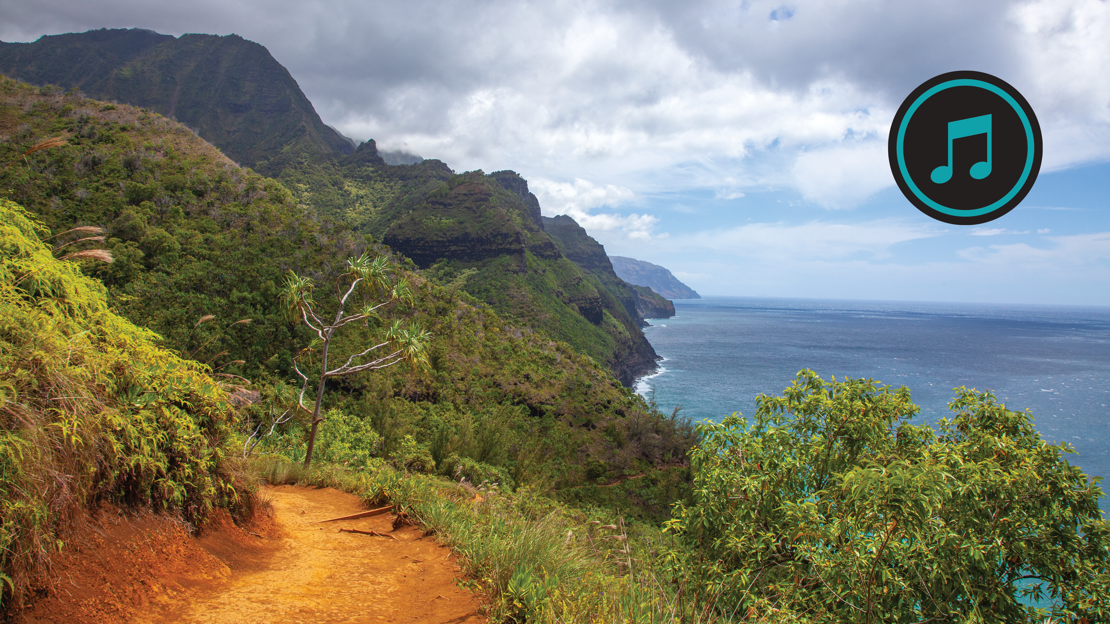 Hawaiian Coastlines Run