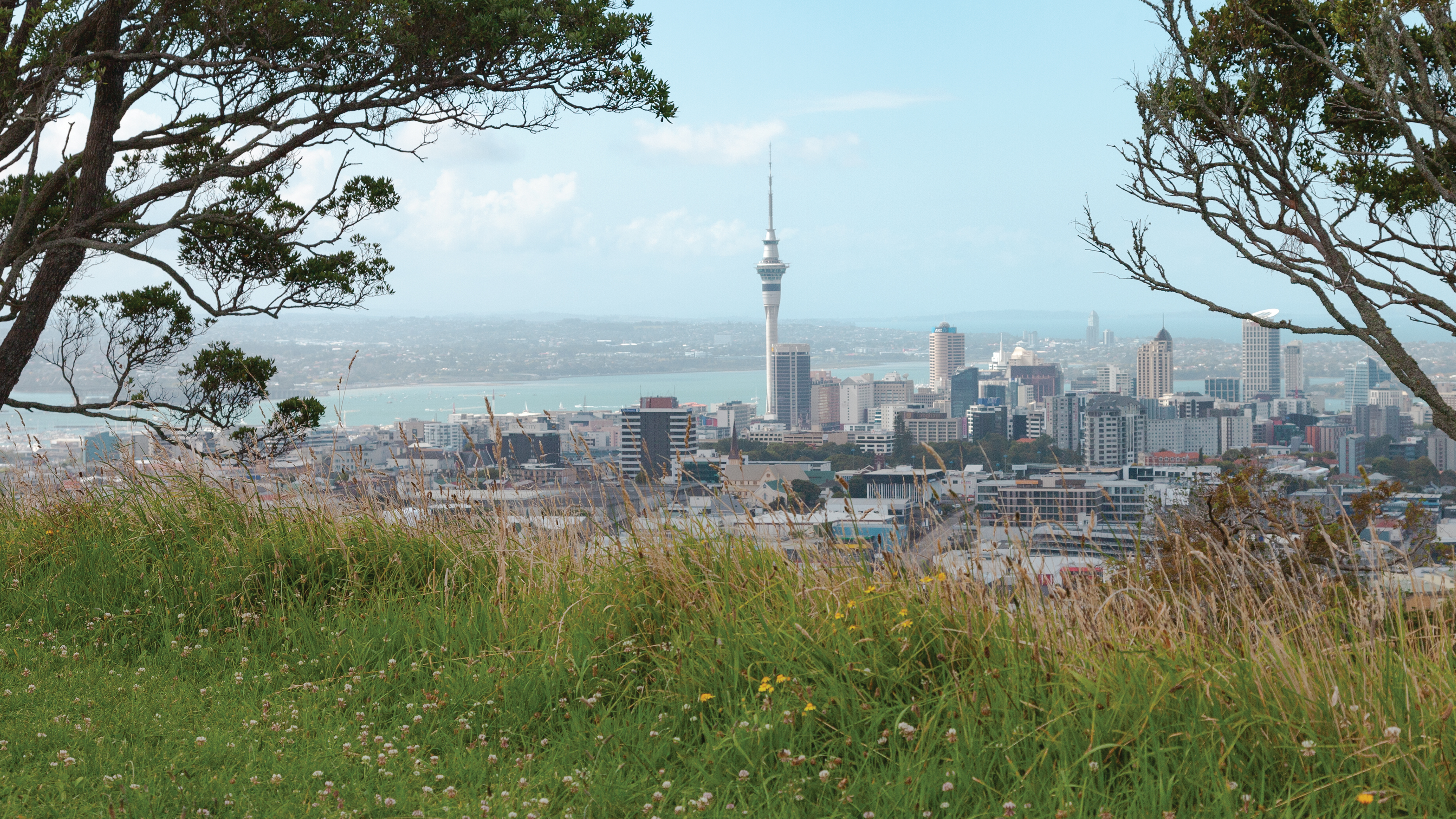 Auckland and Wellington Run