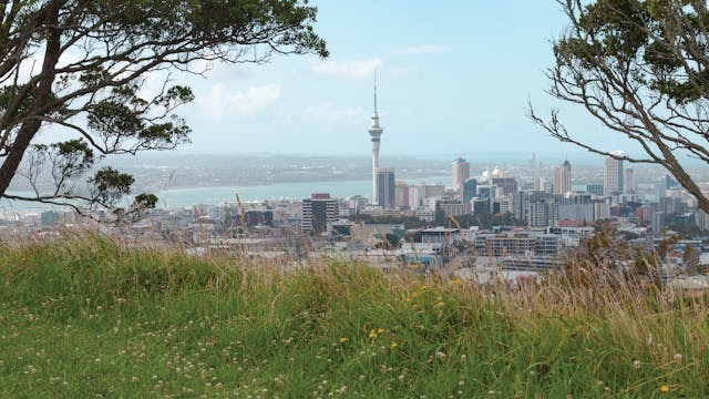 Auckland and Wellington Run