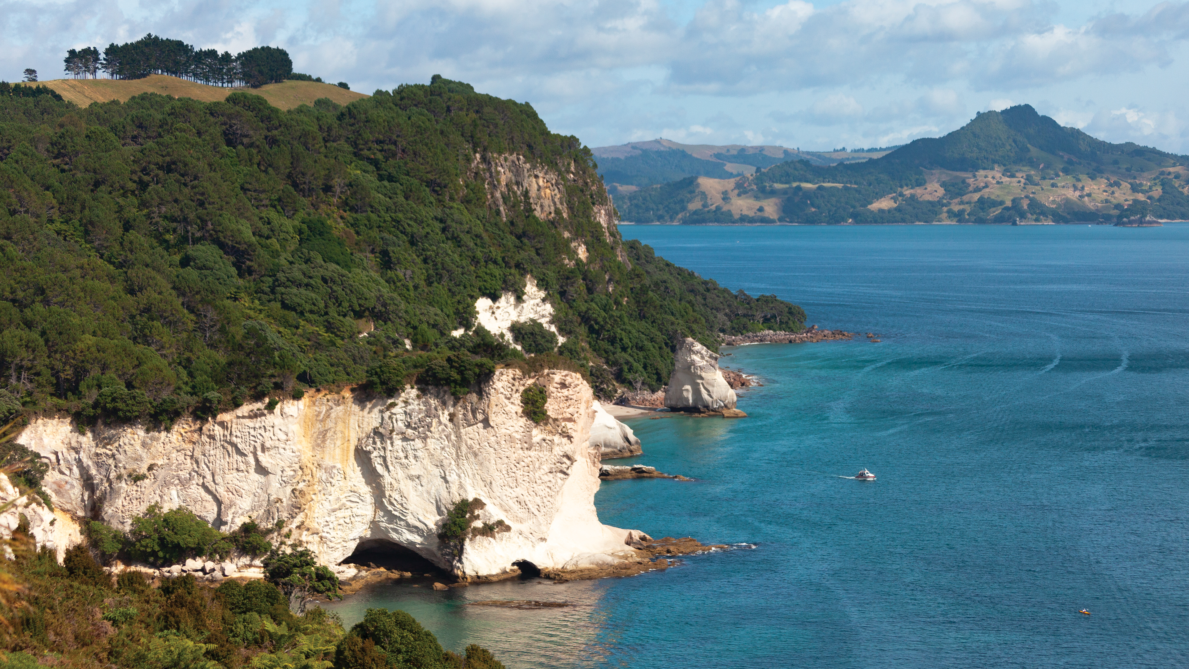 North Island, New Zealand Run
