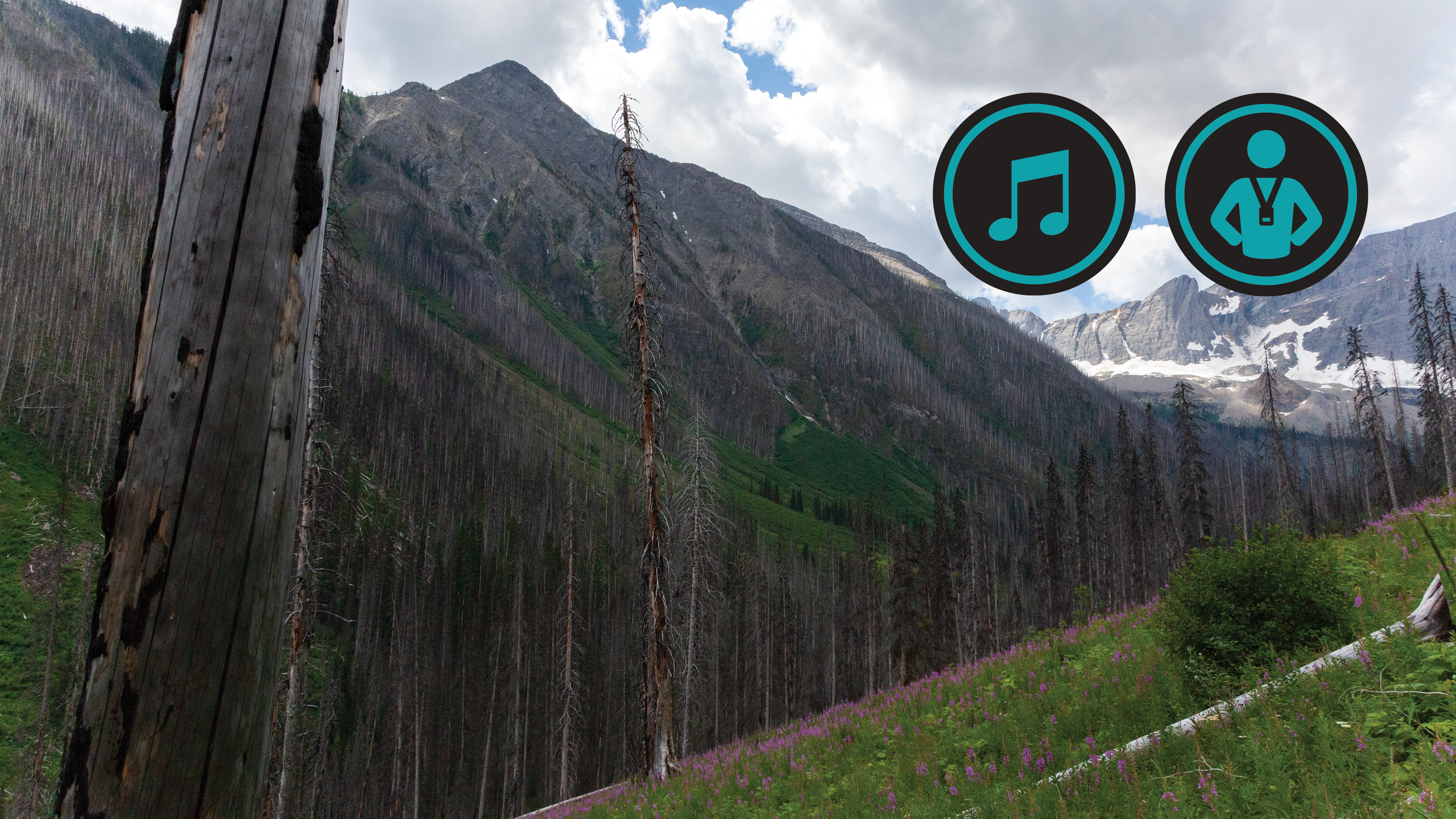 British Columbia Rockies Bike | Buddy