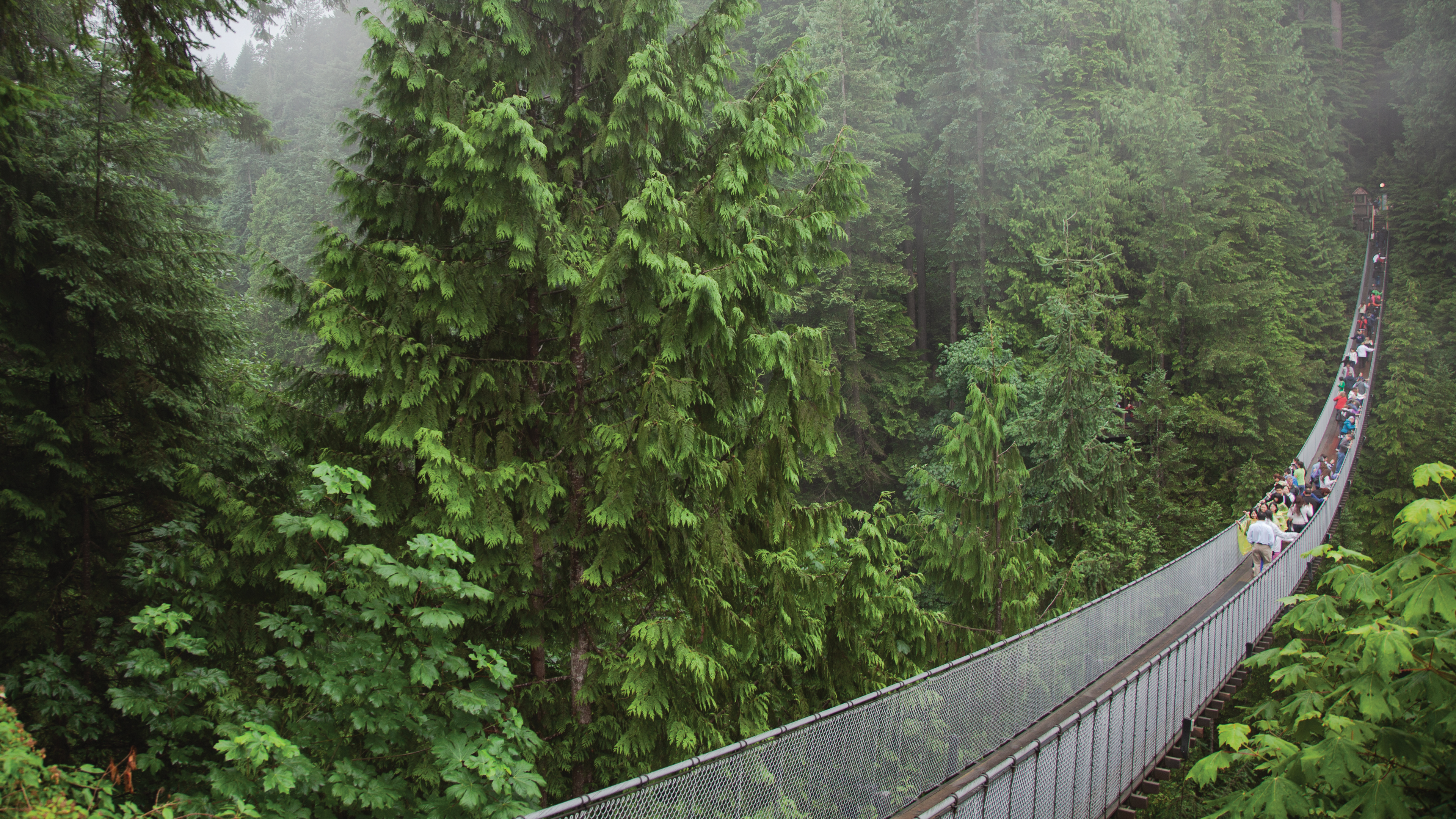 British Columbia Sea to Sky Hike