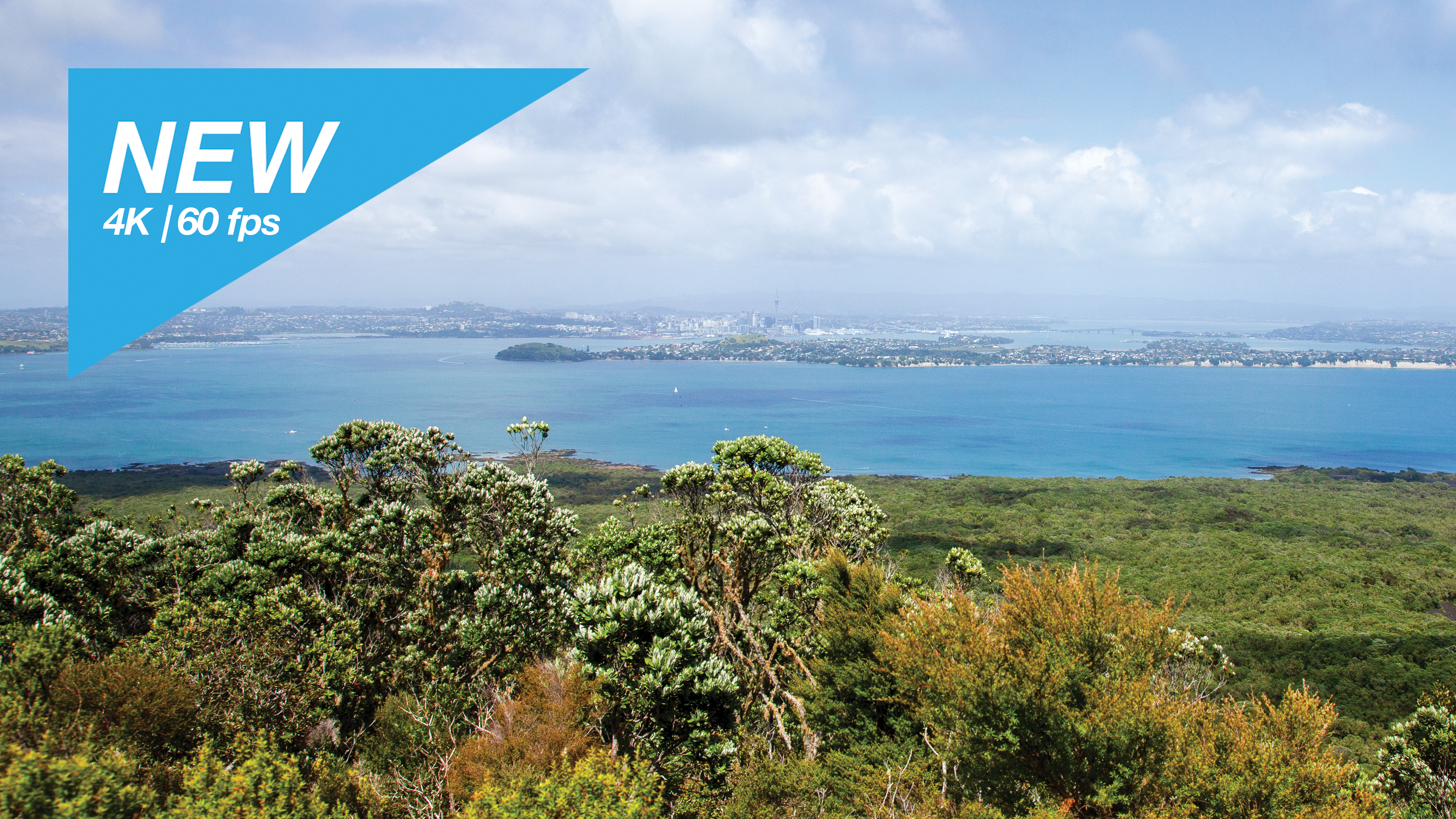 Rangitoto Island, New Zealand Run