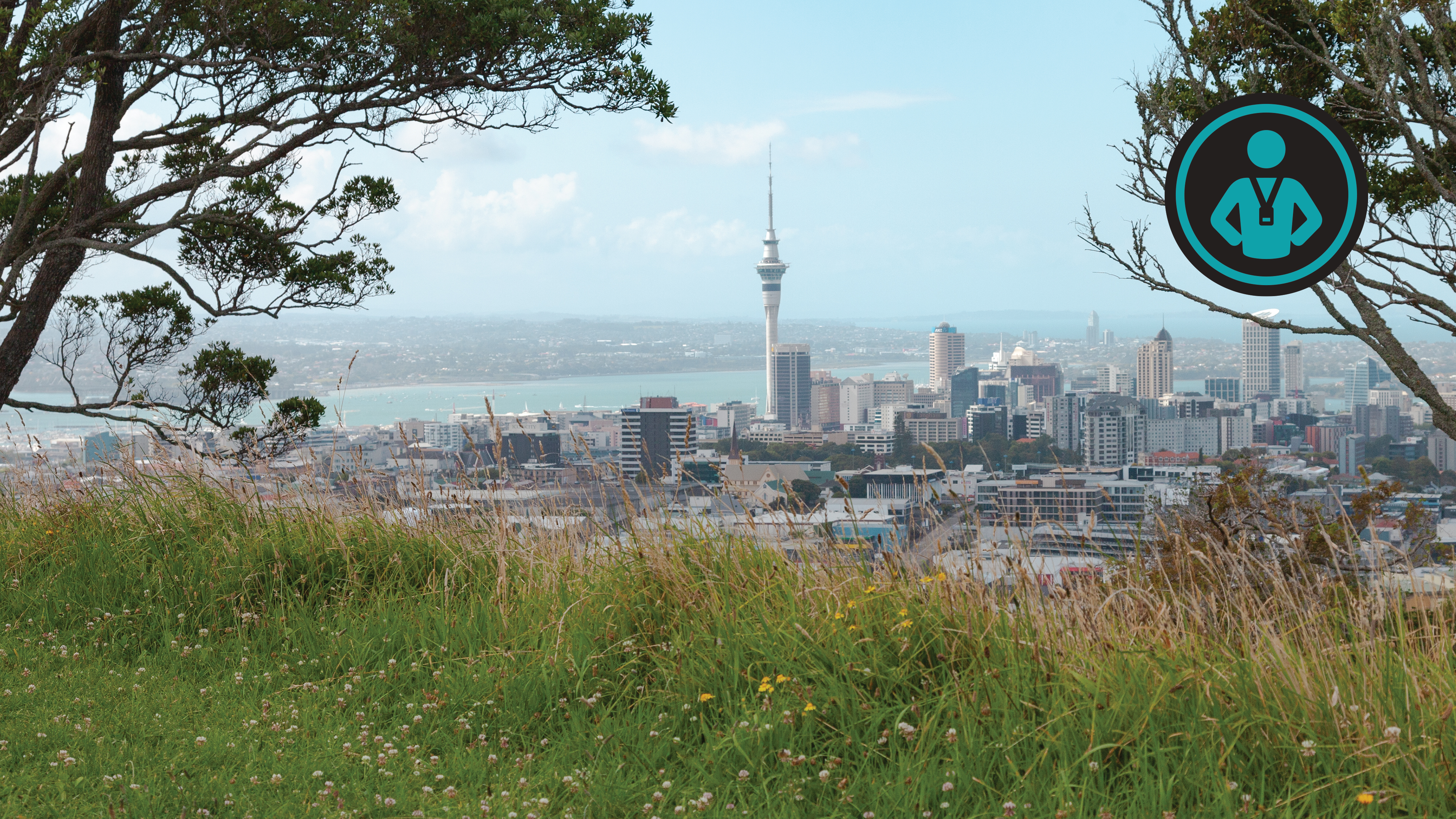 Auckland and Wellington Run | Johnny
