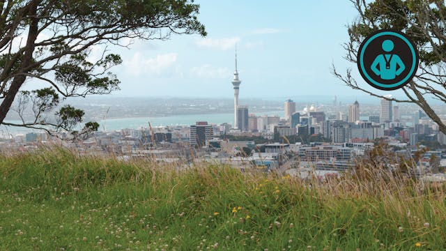 Auckland and Wellington Run | Johnny