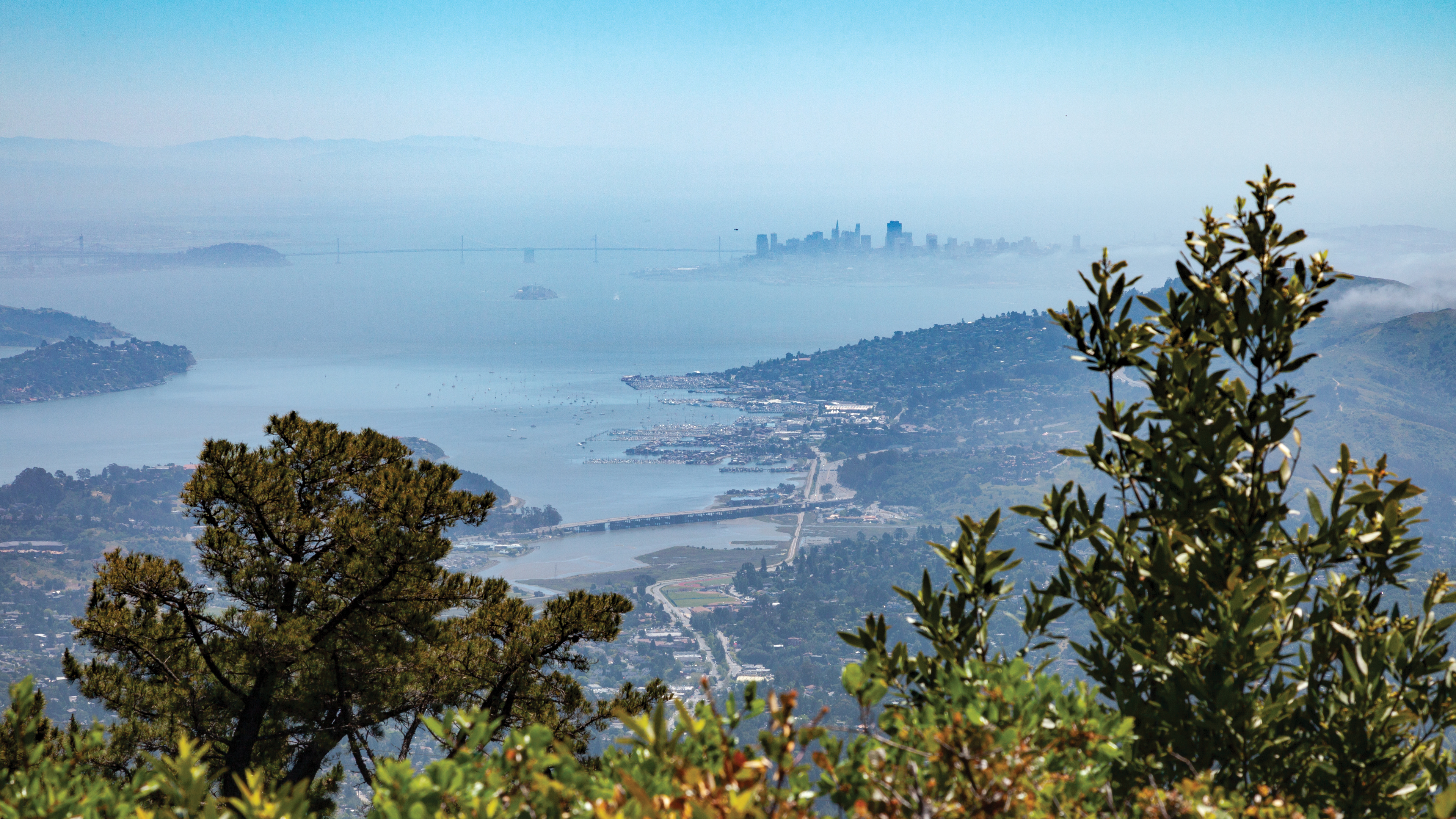 San Francisco Bay Area Bike
