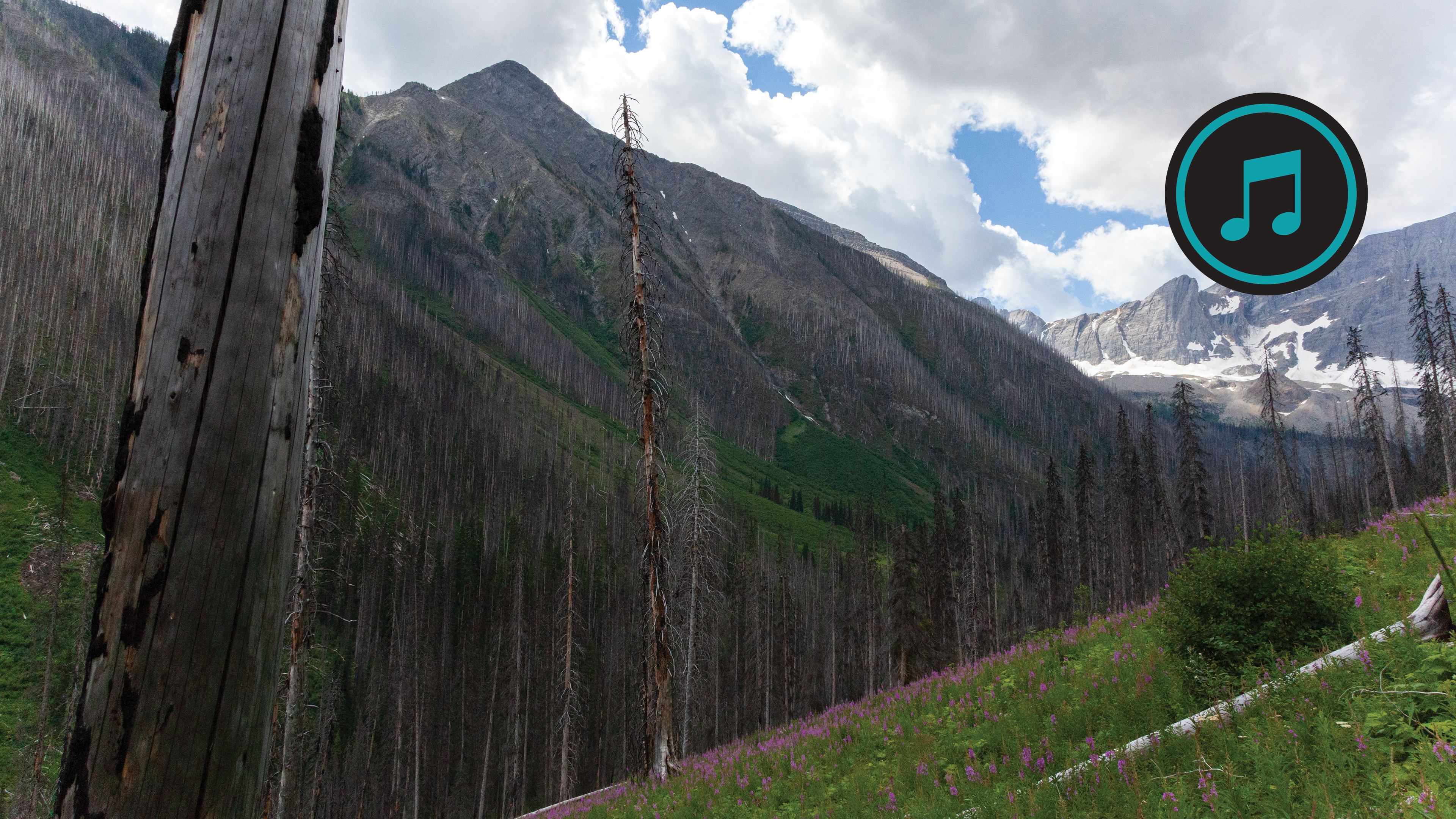 British Columbia Rockies Bike