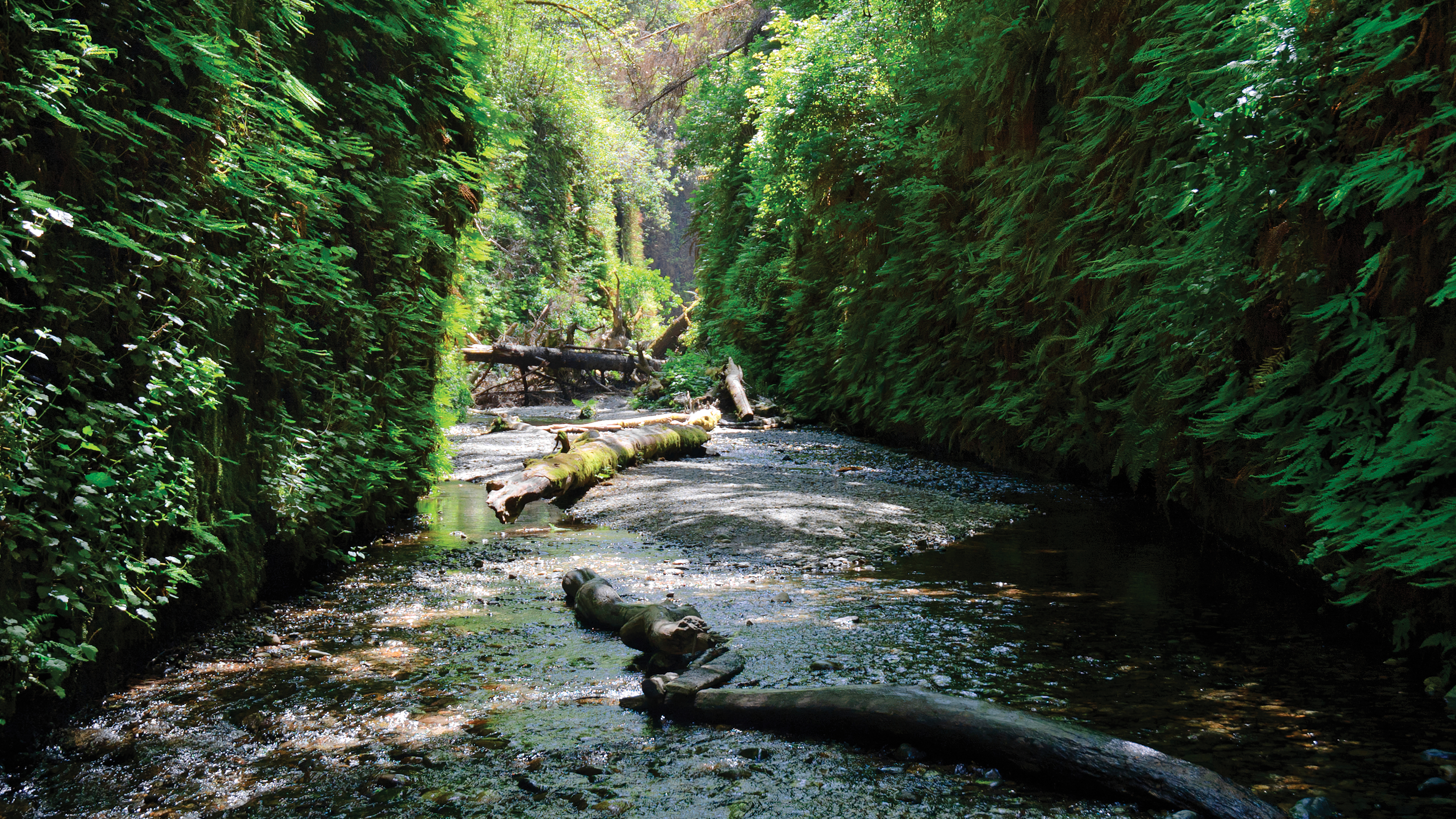 Trinity Mountains Hike