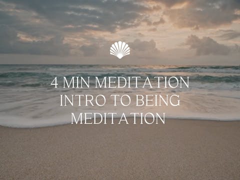 15 min Meditation Intro to Being Medi...