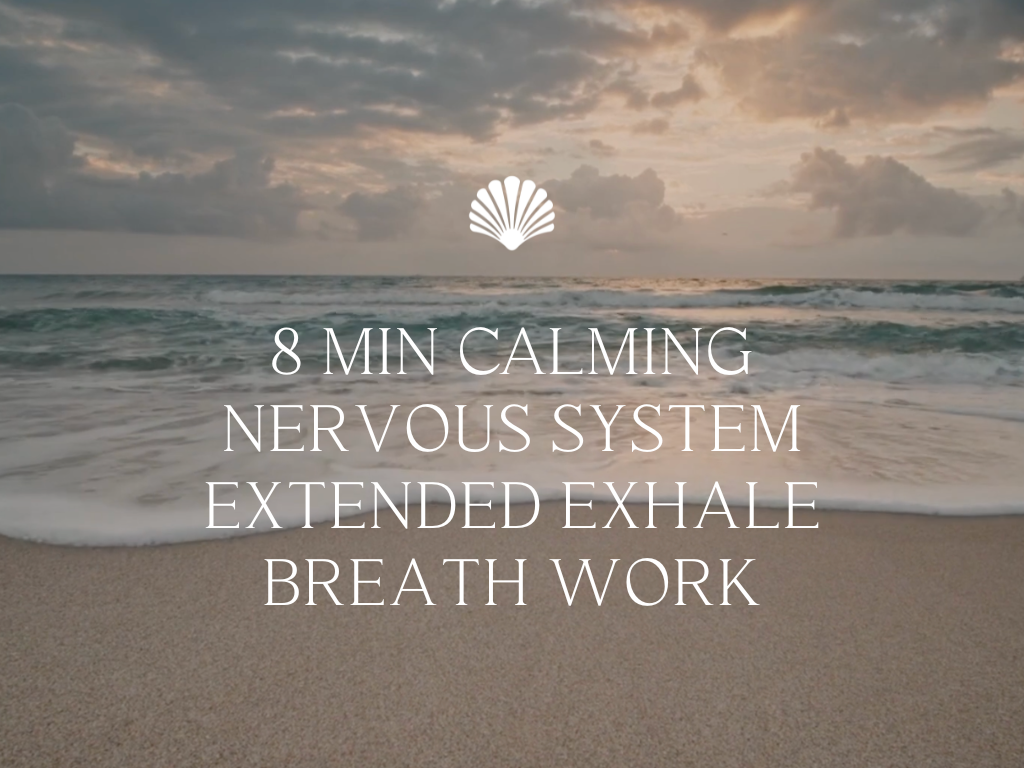 8 min Breath work Calming Nervous System Extended Exhale