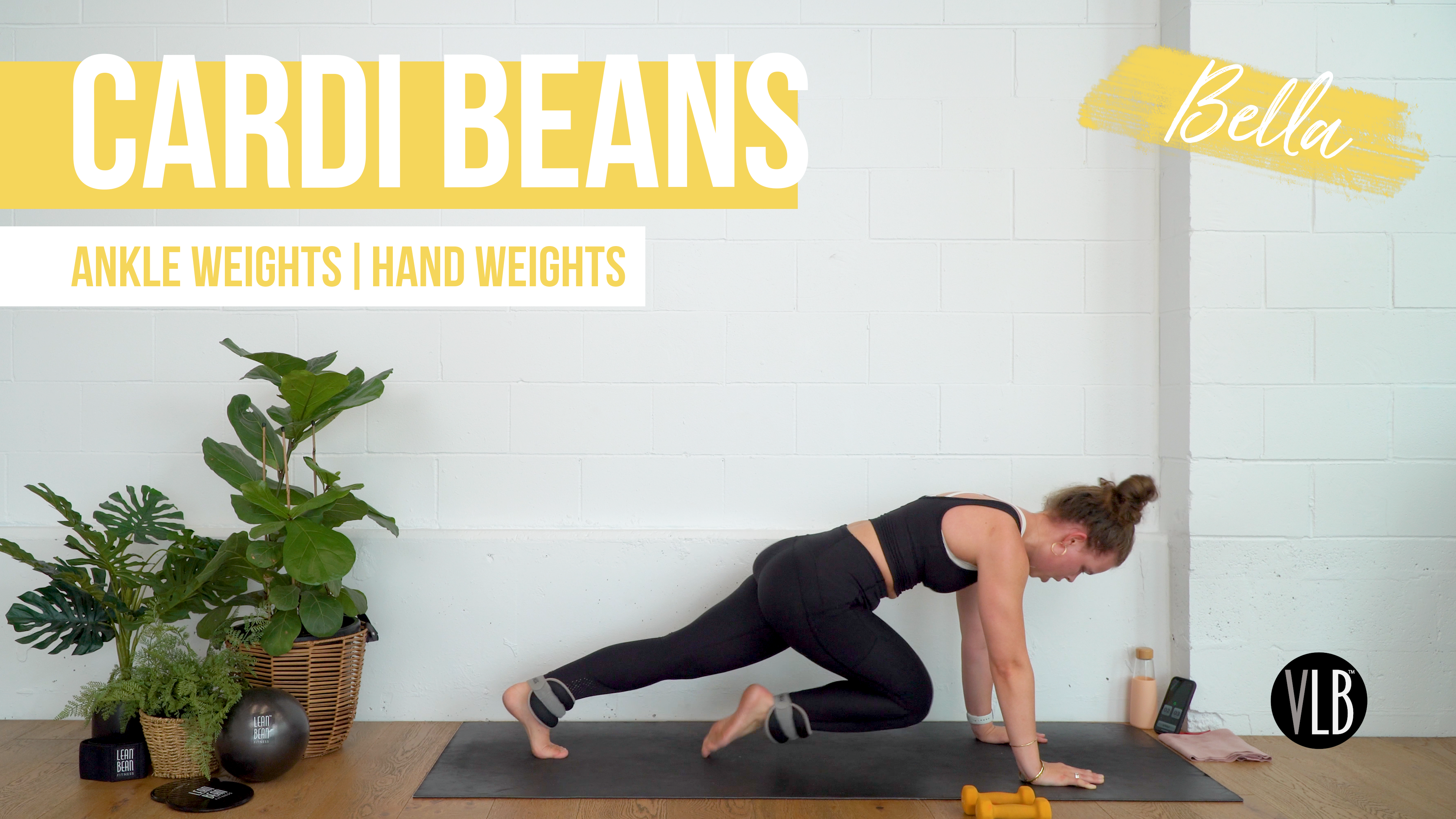 Cardi Beans with Bella