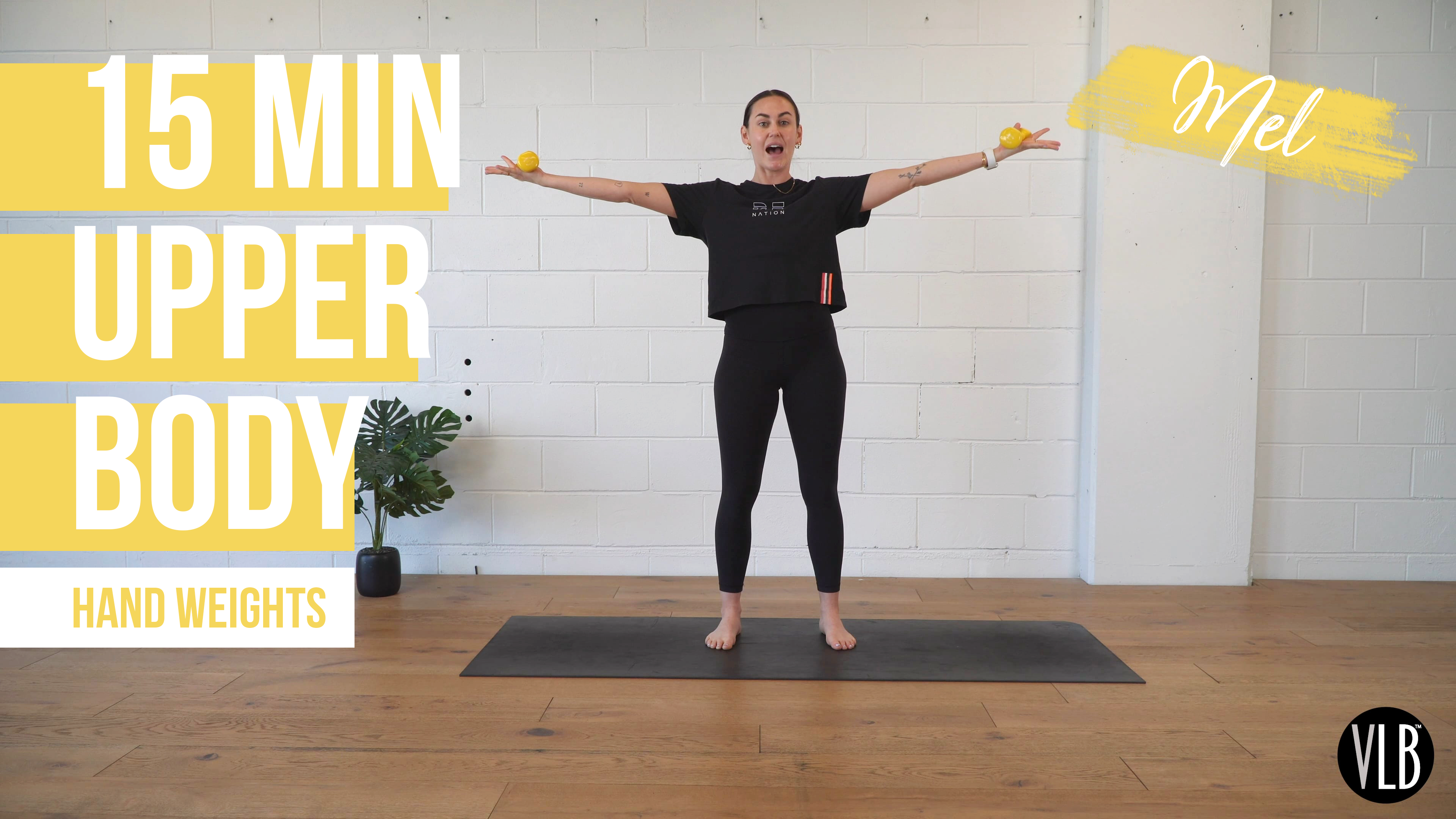 15 Min Upper Body with Mel