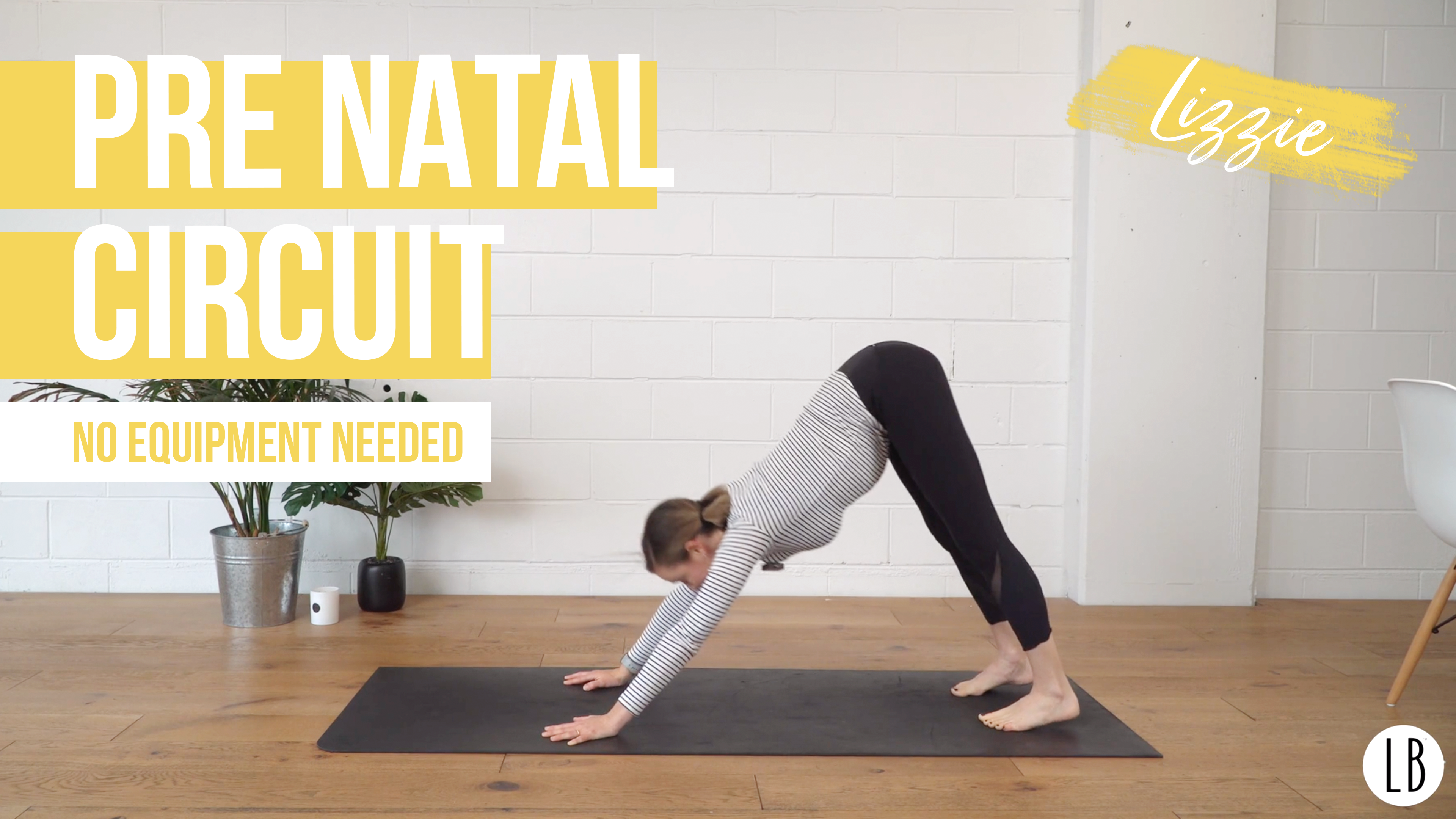 Pre Natal Circuit with Lizzie