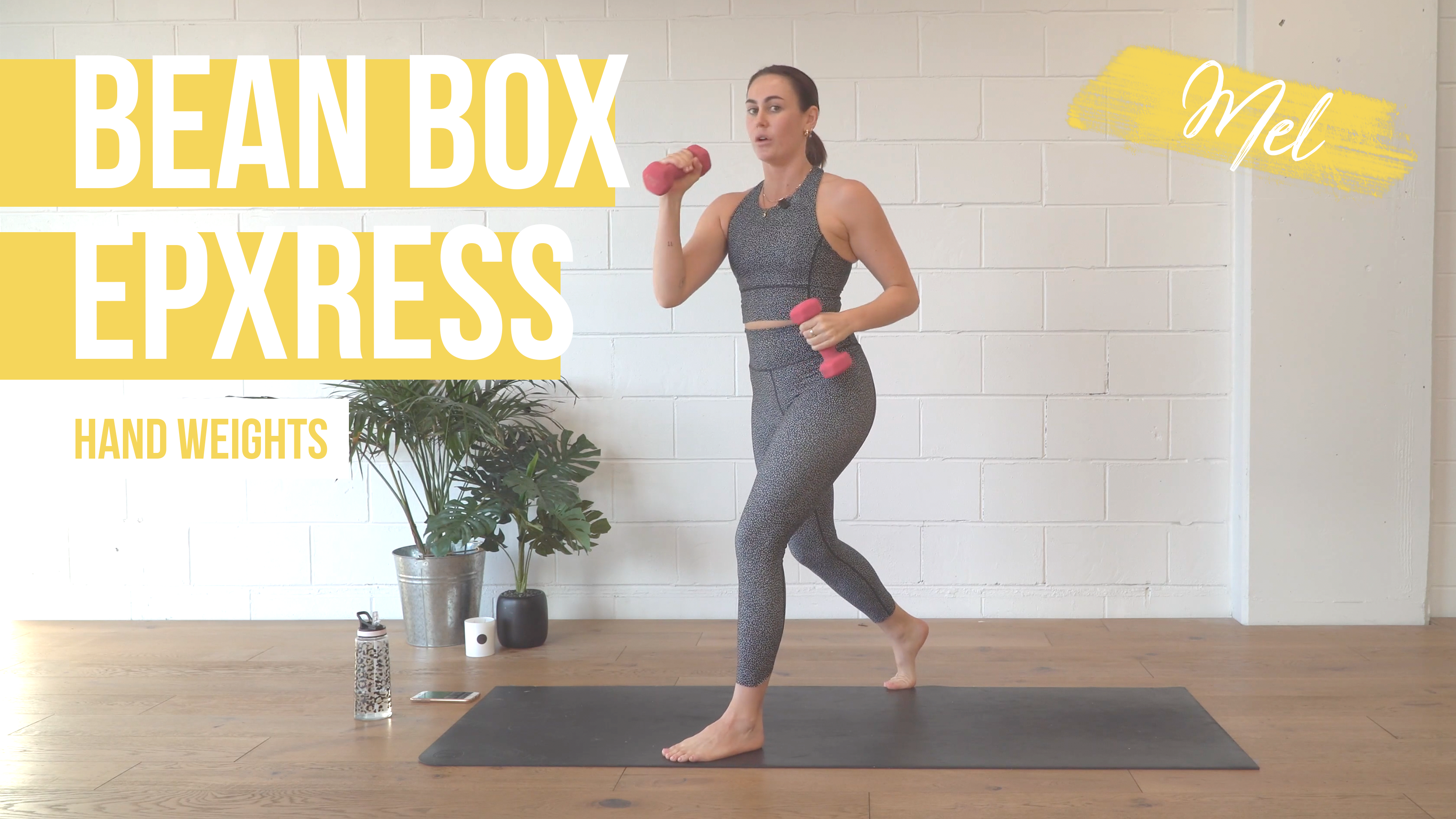 Bean Box [Express] with Mel