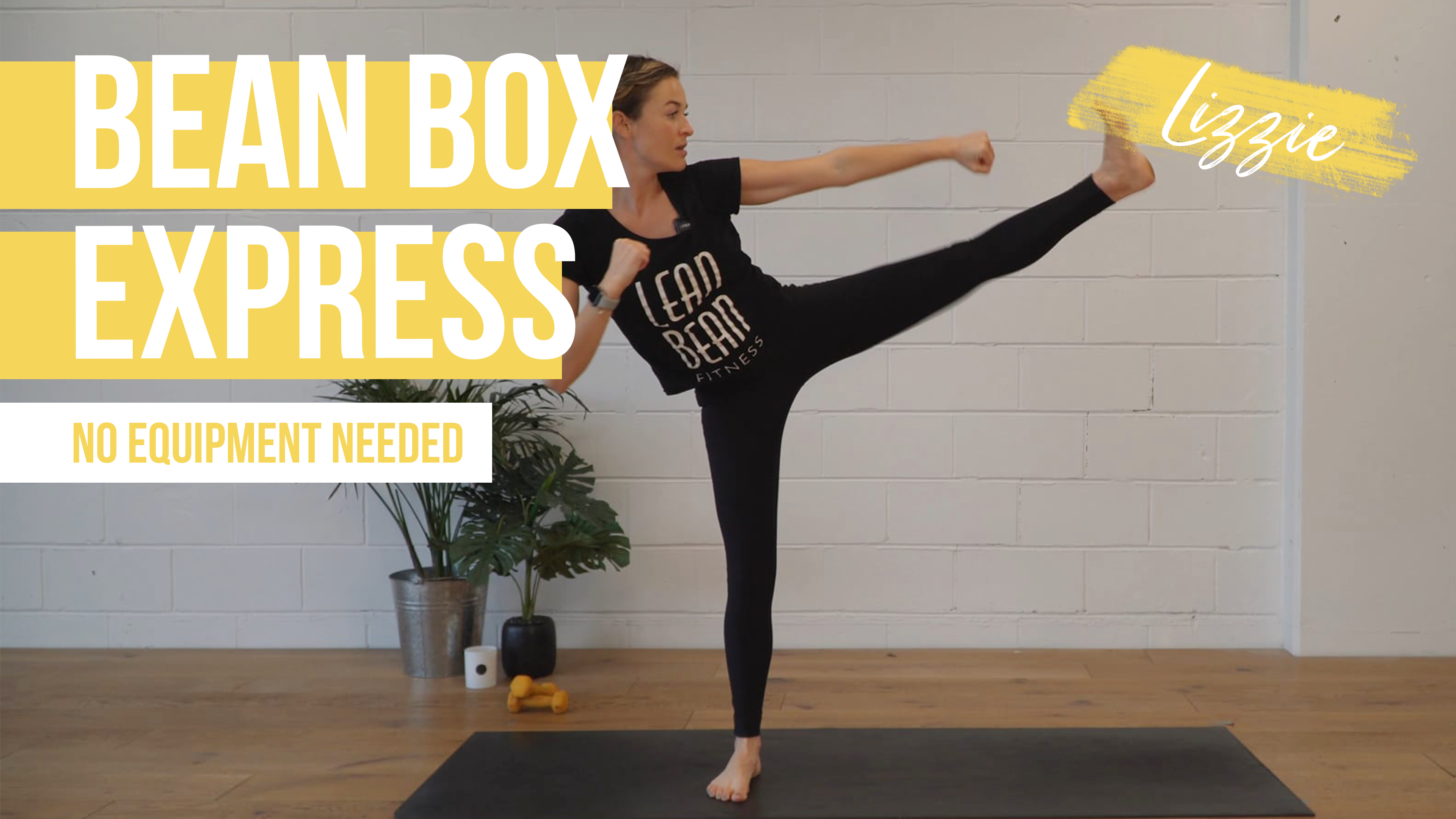 Bean Box [Express] with Lizzie