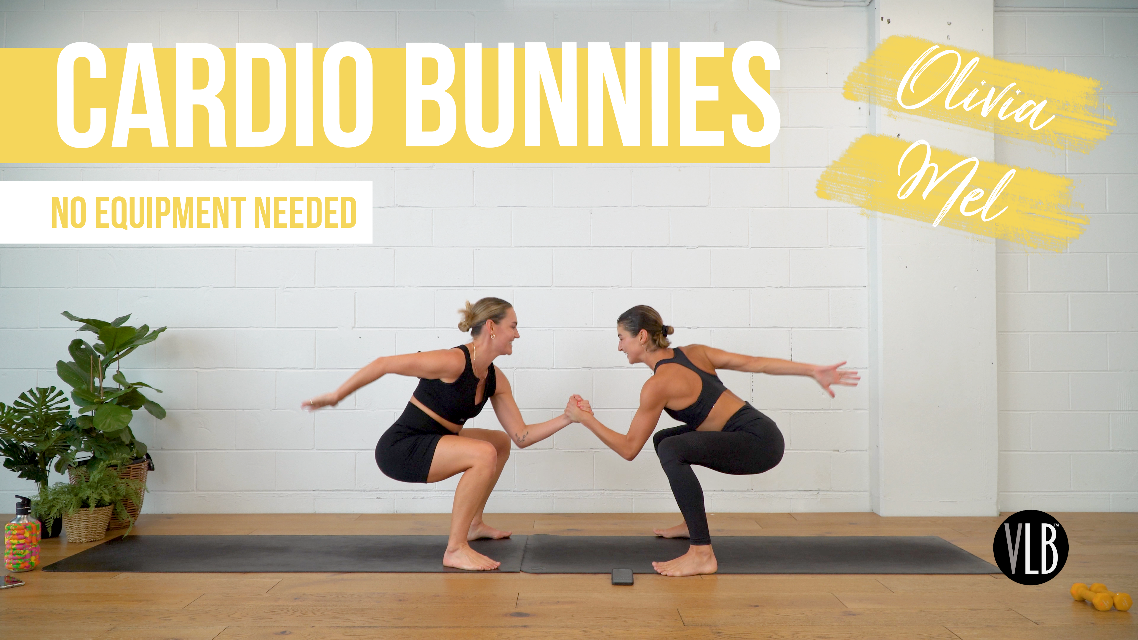 Cardio Bunnies with Mel and Olivia