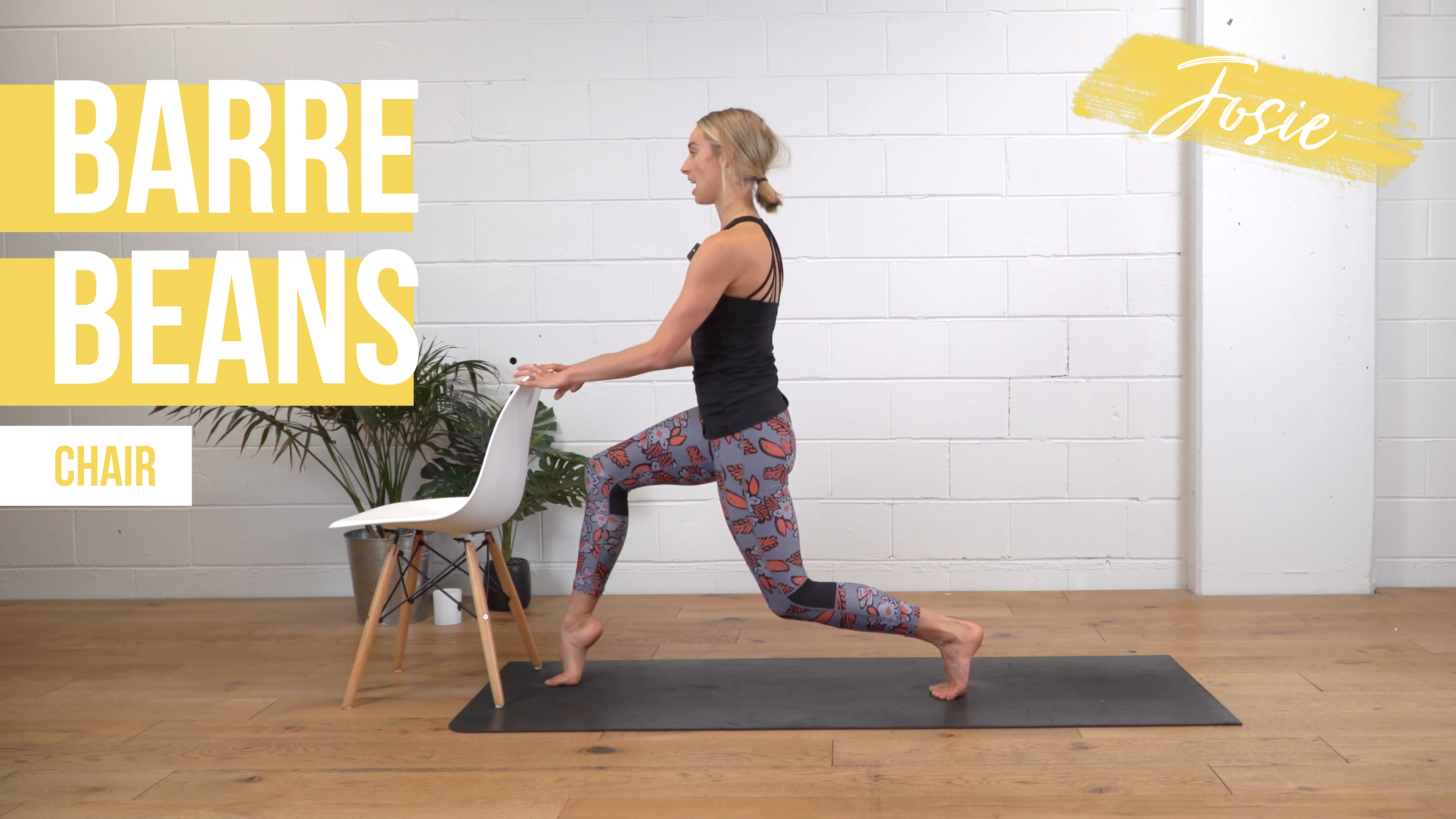 Barre Beans with Josie