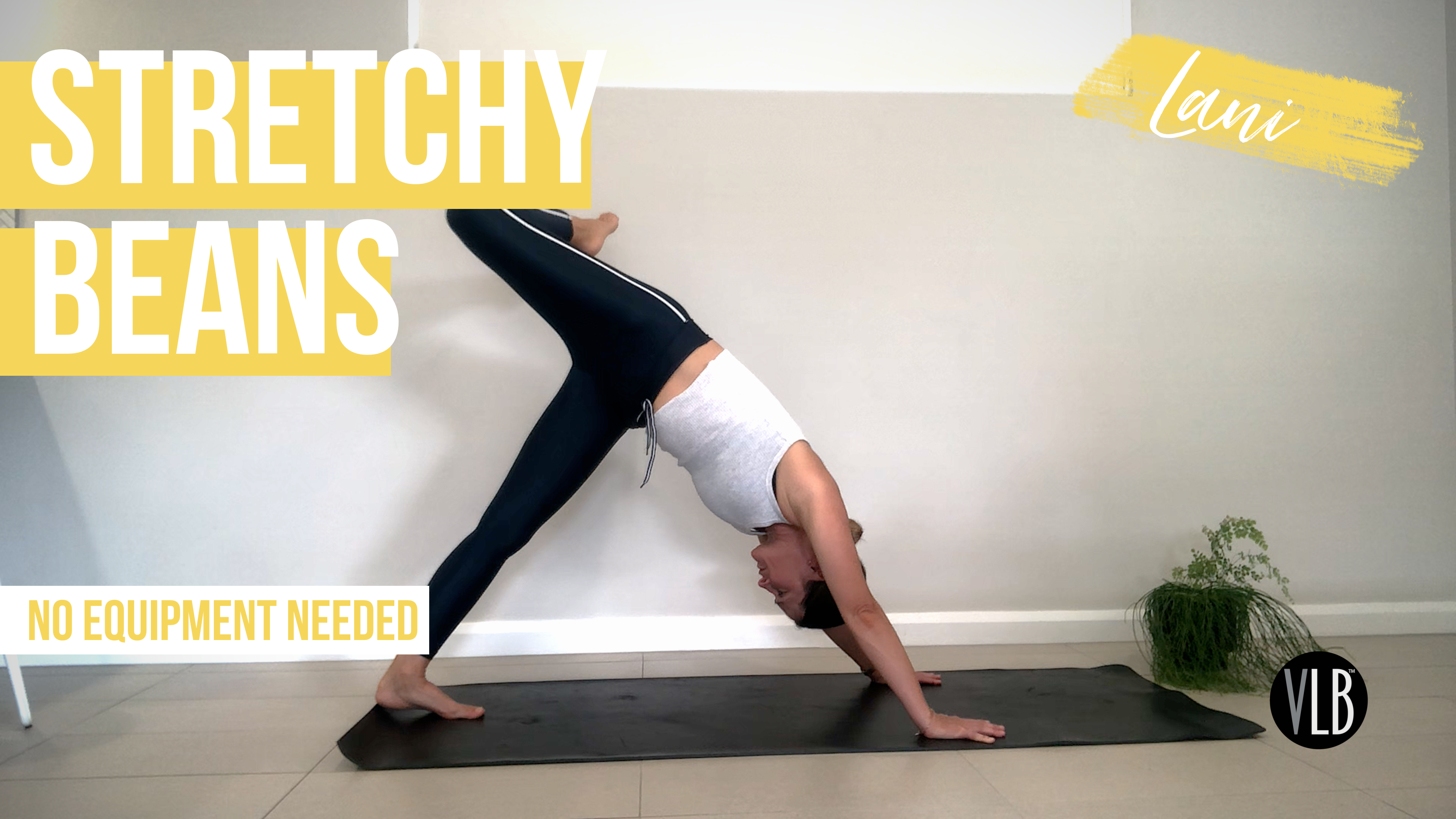 Stretchy Beans with Lani