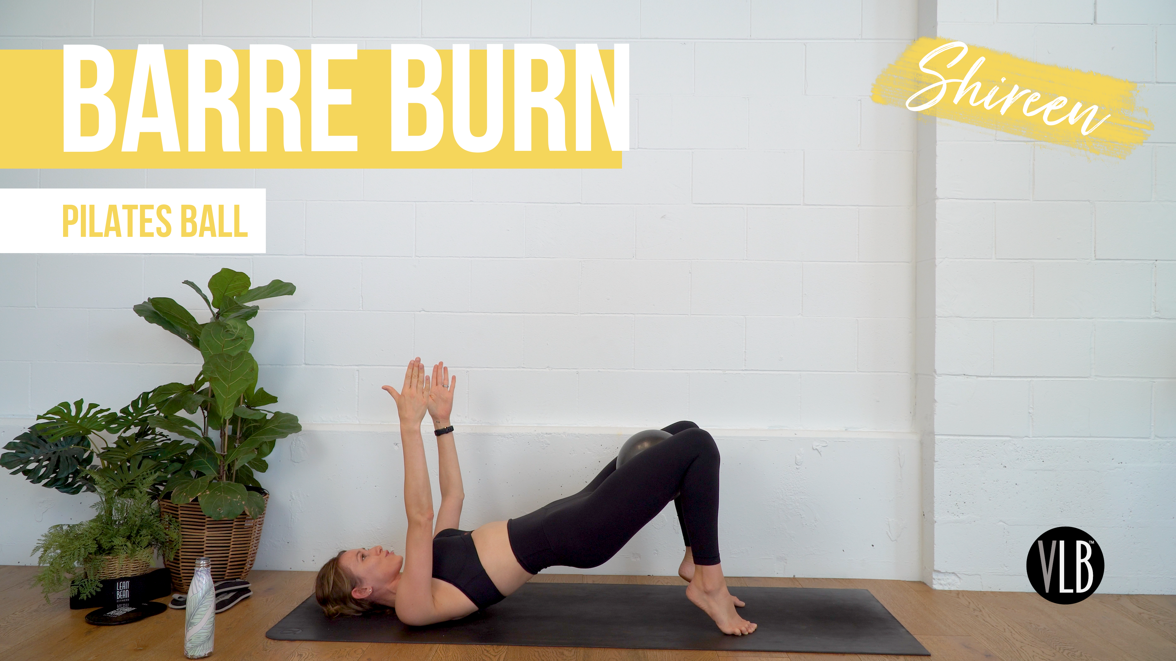 Barre Burn with Shireen
