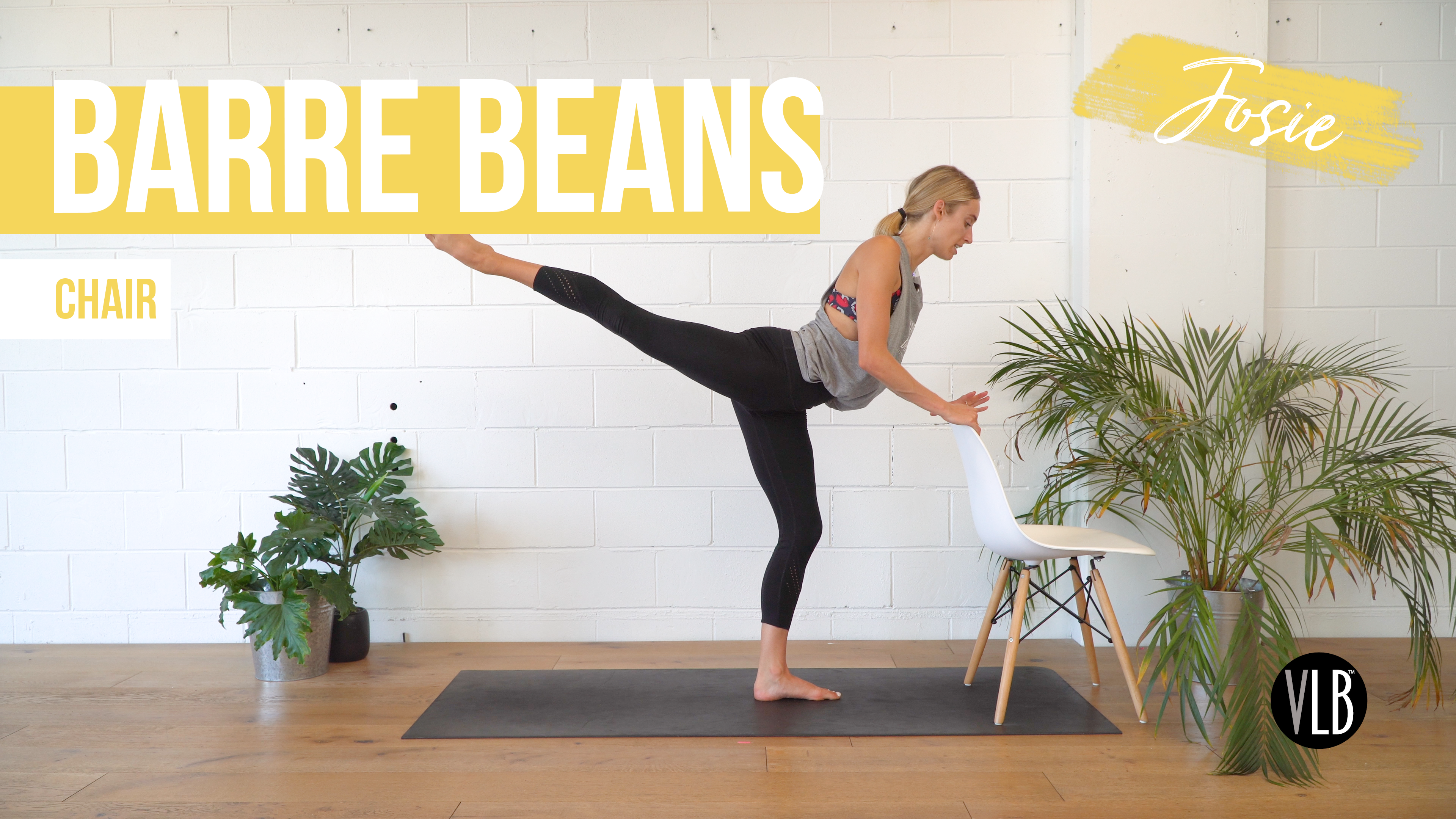 Barre Beans with Josie