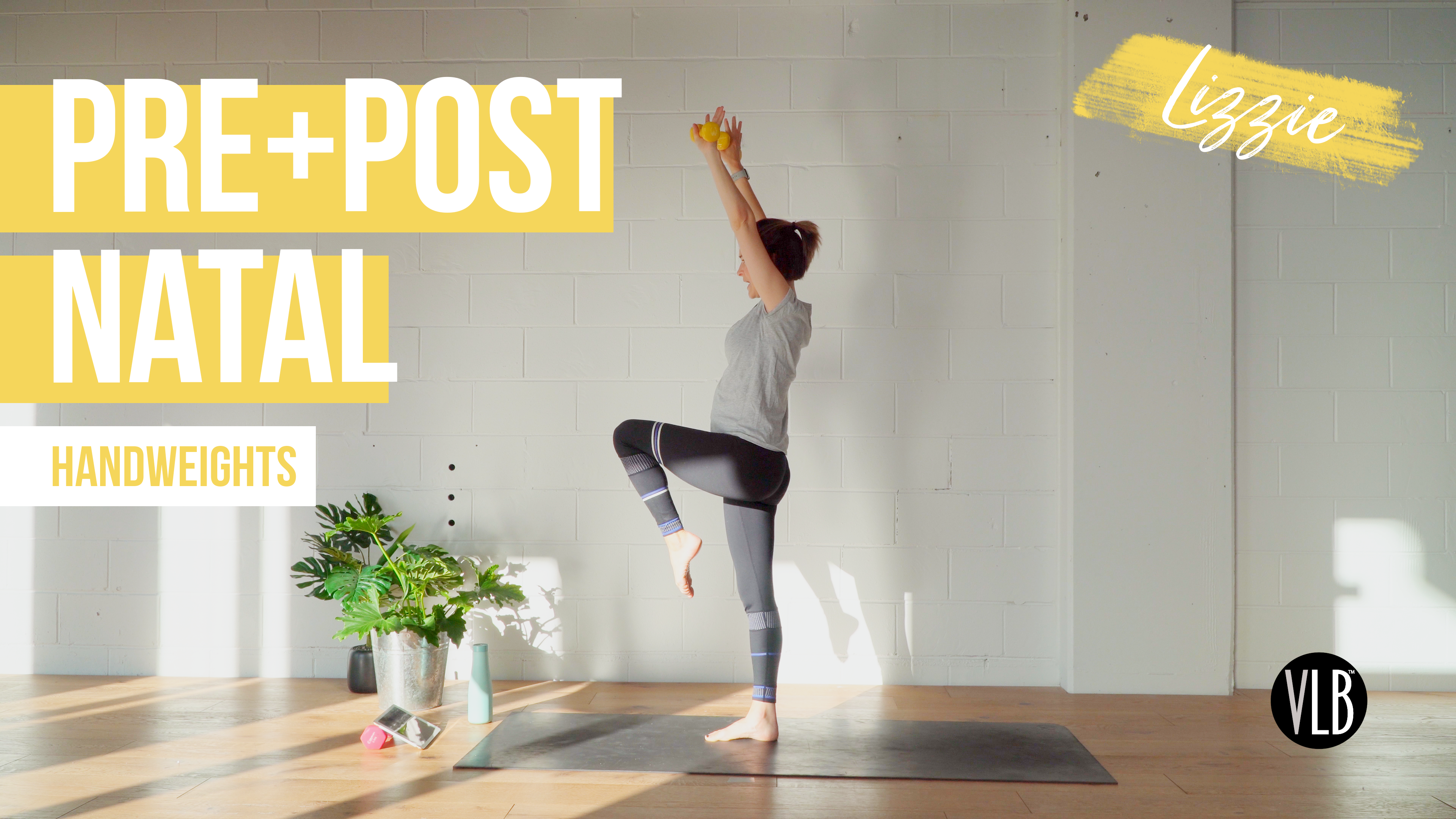 Pre/Post Natal Workout with Lizzie