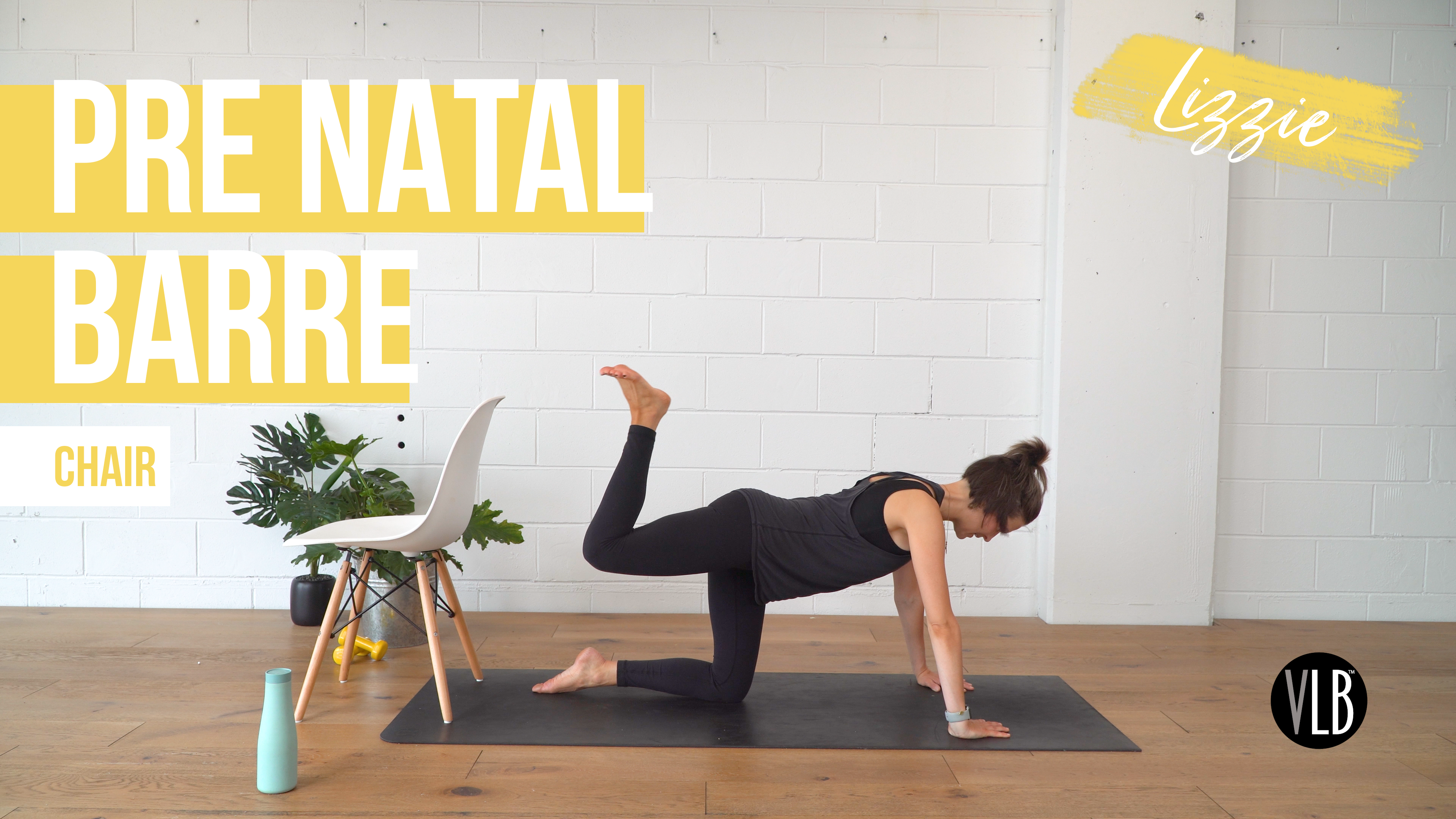 Pre Natal Barre with Lizzie