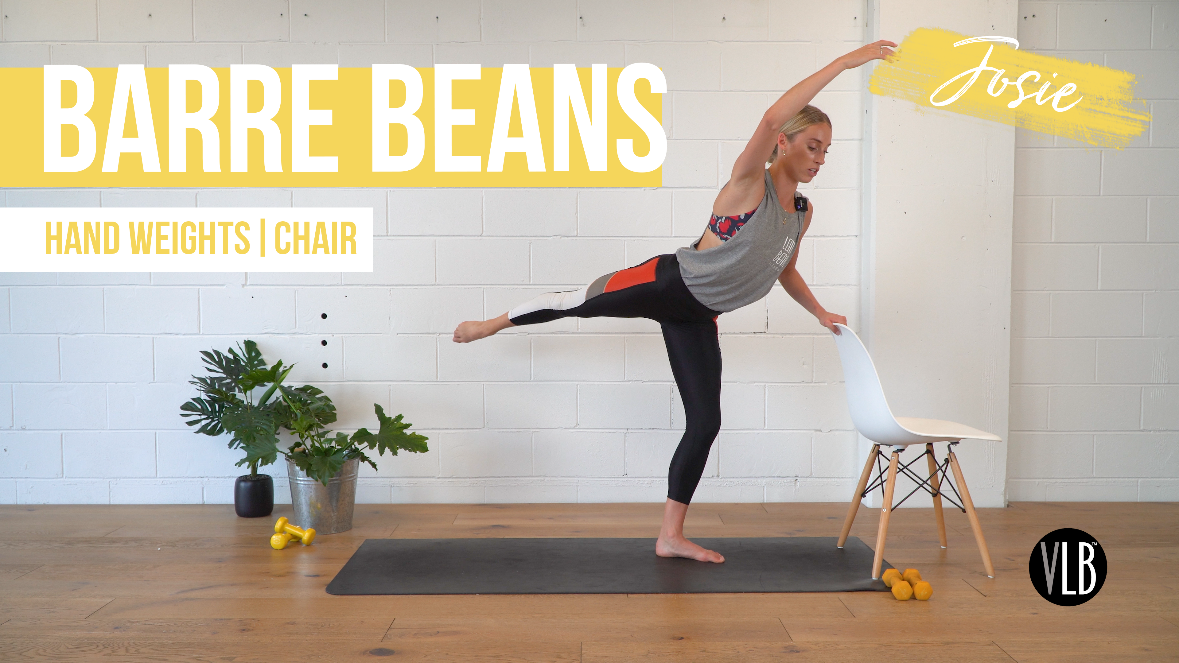 Barre Beans with Josie