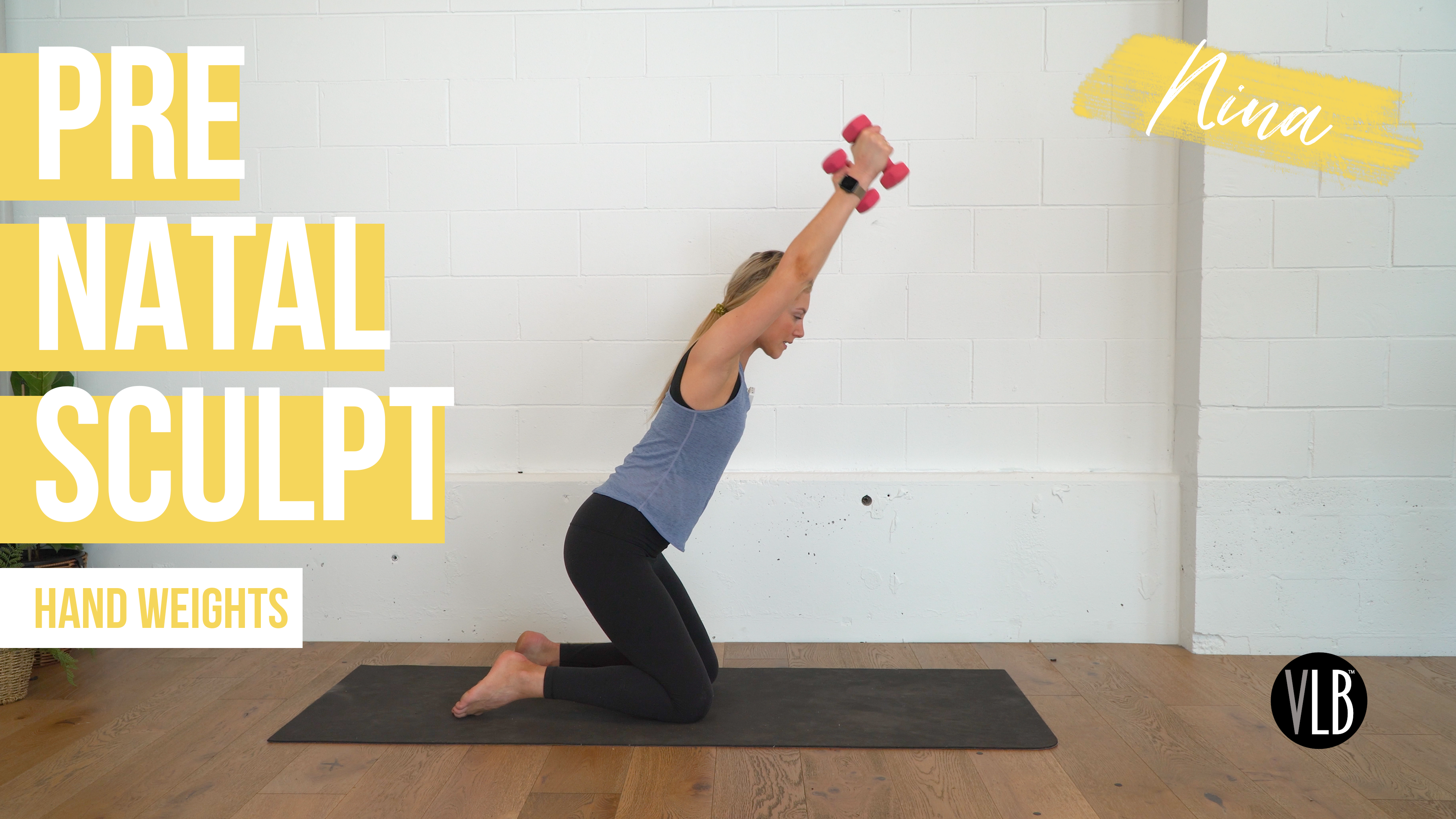 Pre Natal Sculpt with Nina