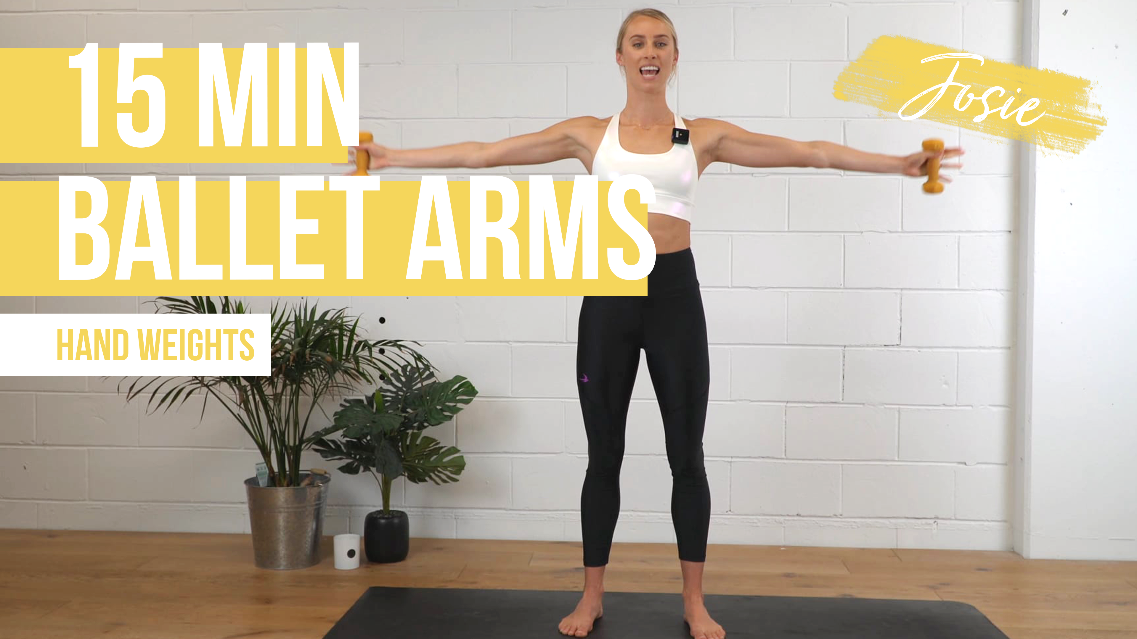 15 Min Ballet Bean Arms with Josie