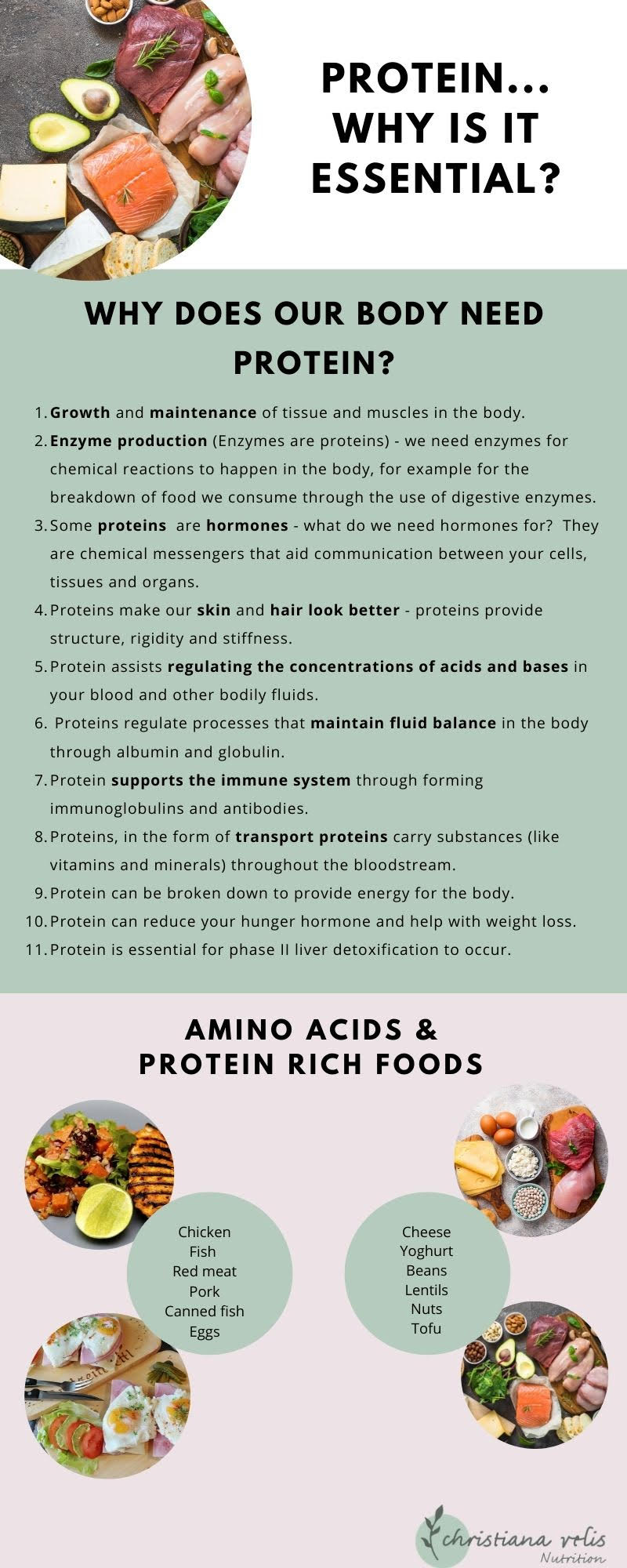 Why is Protein Essential?