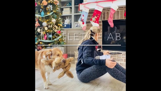 Mistletoe Ab Challenge 