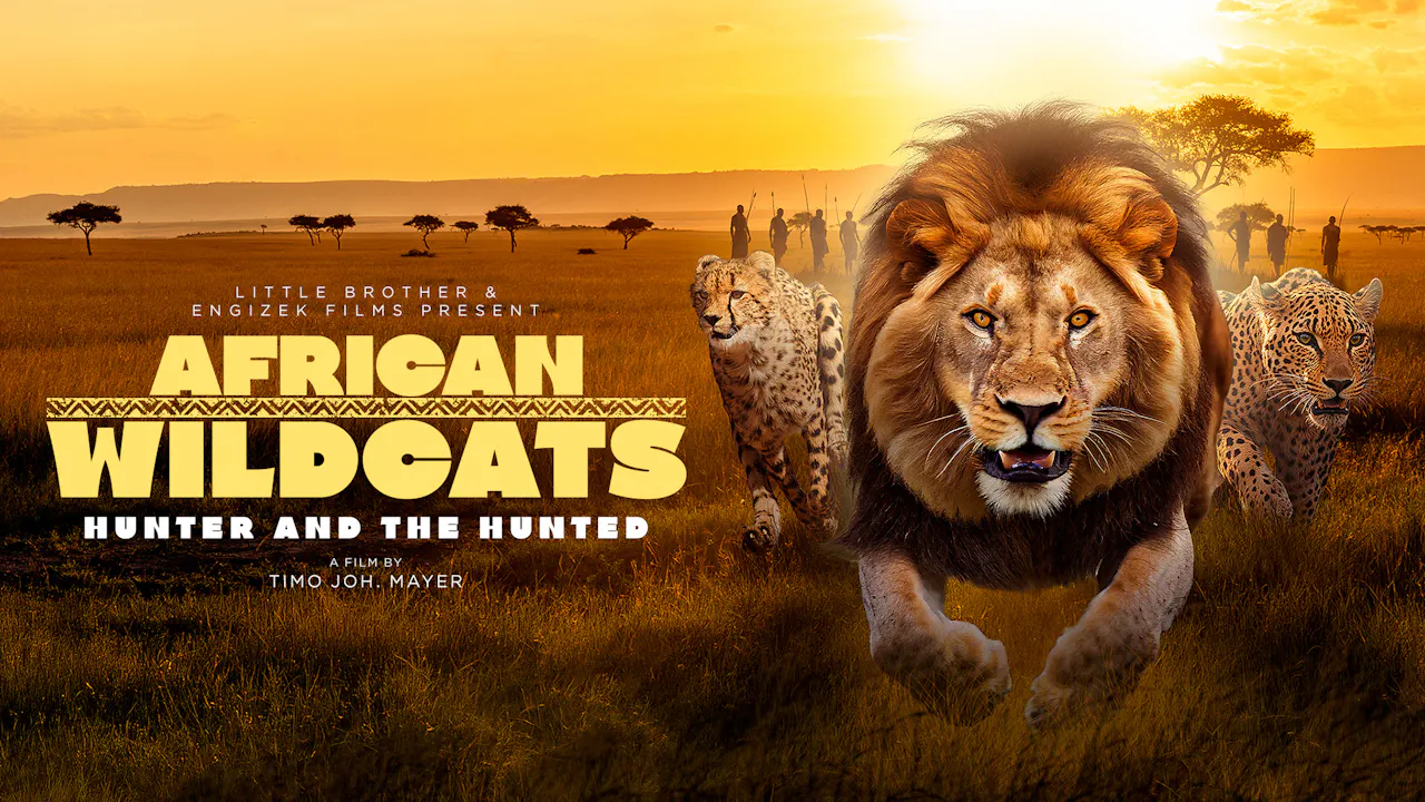 African Wildcats