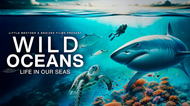 Wild Oceans