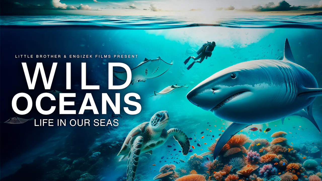 Wild Oceans