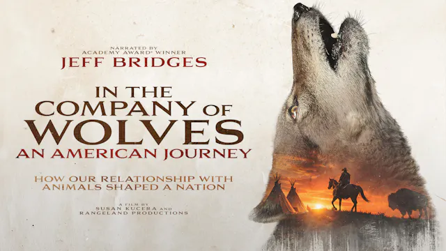 In the Company of Wolves: An American Journey