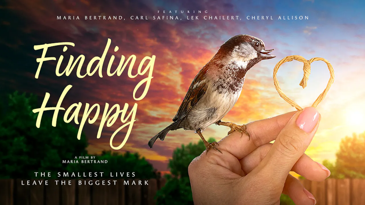 Finding Happy