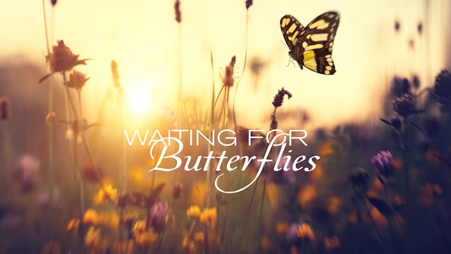 Waiting For Butterflies