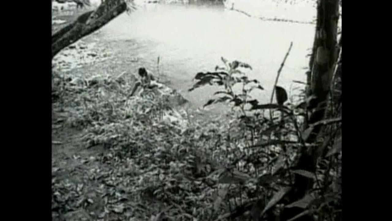 Run Baby Run Portuguese Run Baby Run RedeemTV