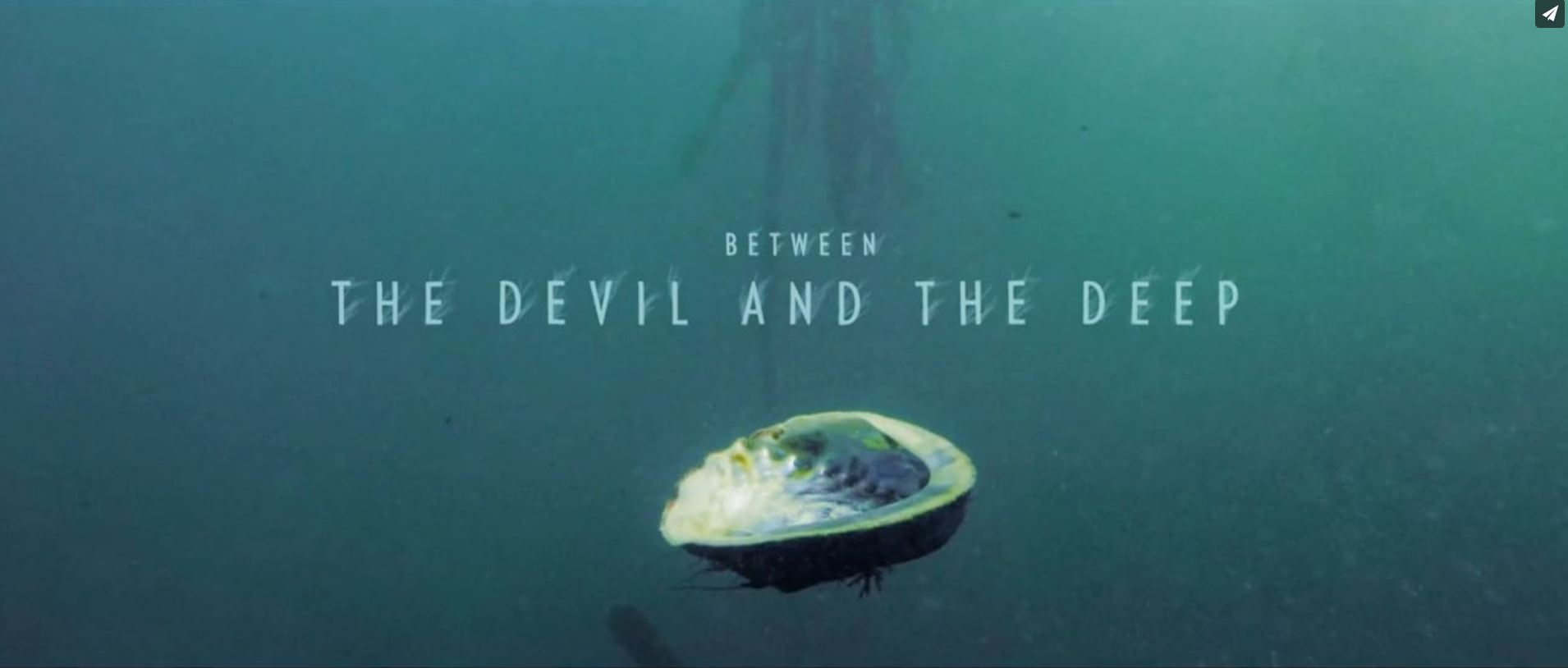 BETWEEN THE DEVIL & THE DEEP - Standard Edition