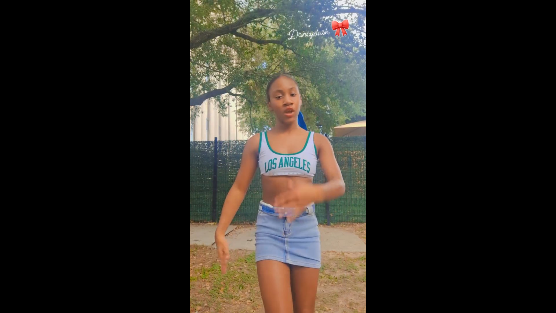 FB_VID_4601913255424721299