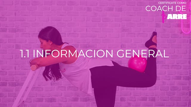 1.1 Información general