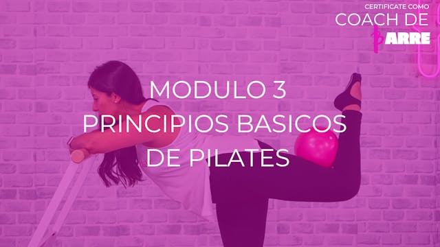 Módulo 3: Principios básicos de pilates