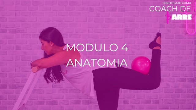 Módulo 4: Anatomía 