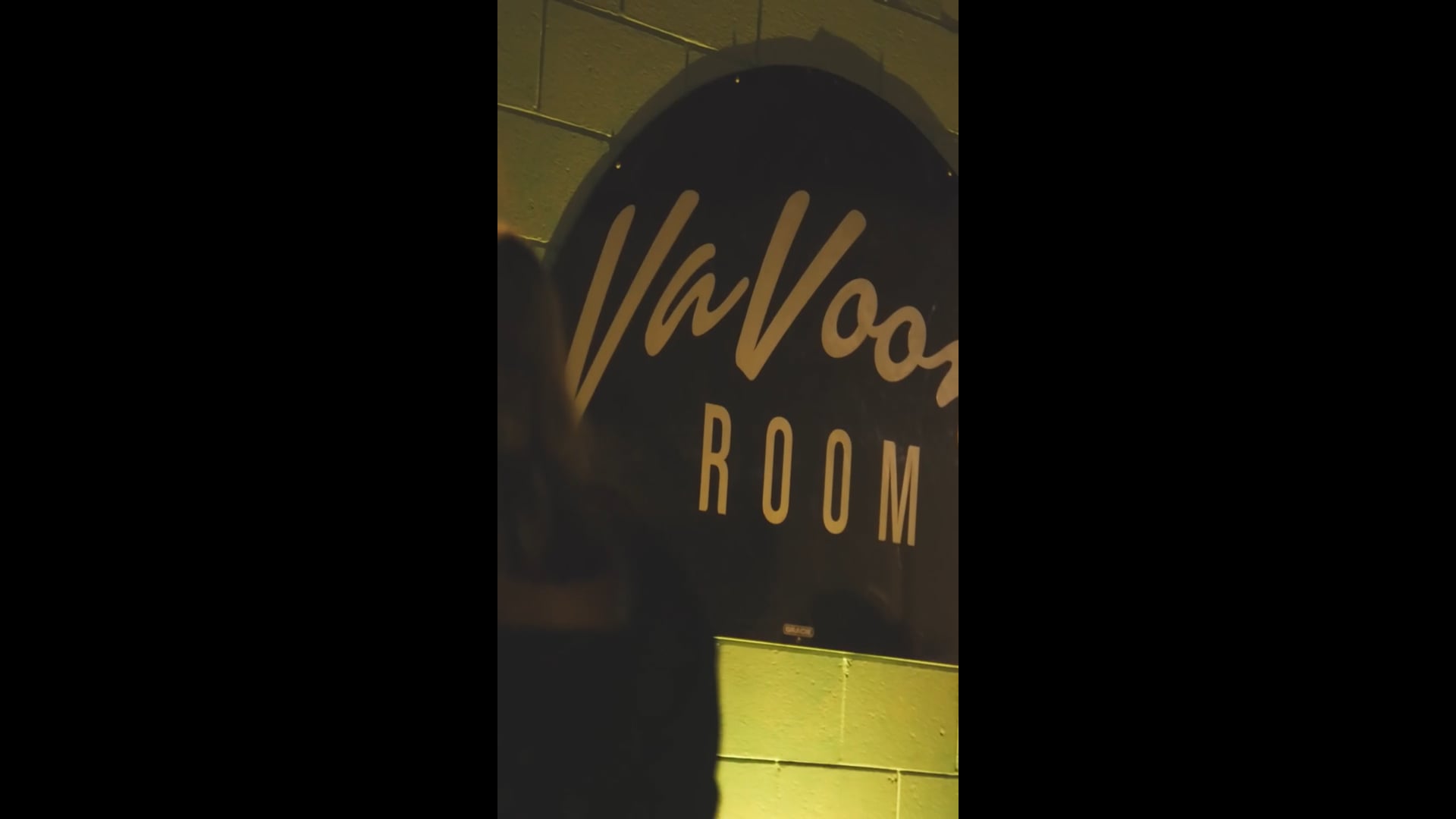 VVR Show Promo Reel (Les Brown Lane)