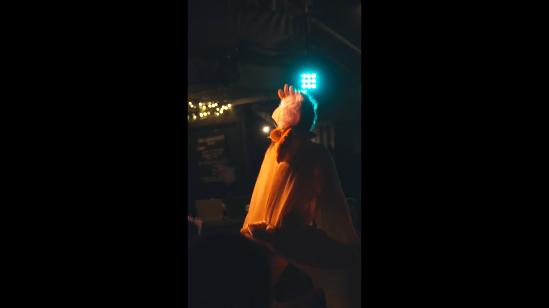 VVR Show Reel - Chicken (Les Brown Lane)