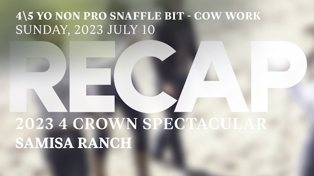 RECAP 4 Crown Spectacular 2023 - NRCHA-ERCHA 4\5 YO NON PRO SNAFFLE - FENCE WORK