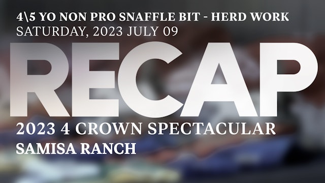 RECAP 4 Crown Spectacular 2023 - NRCHA-ERCHA 4\5 YO NON PRO SNAFFLE - HERD WORK