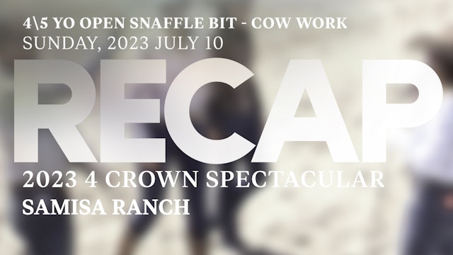 RECAP 4 Crown Spectacular 2023 - NRCHA-ERCHA 4\5 YO OPEN SNAFFLE - FENCE WORK
