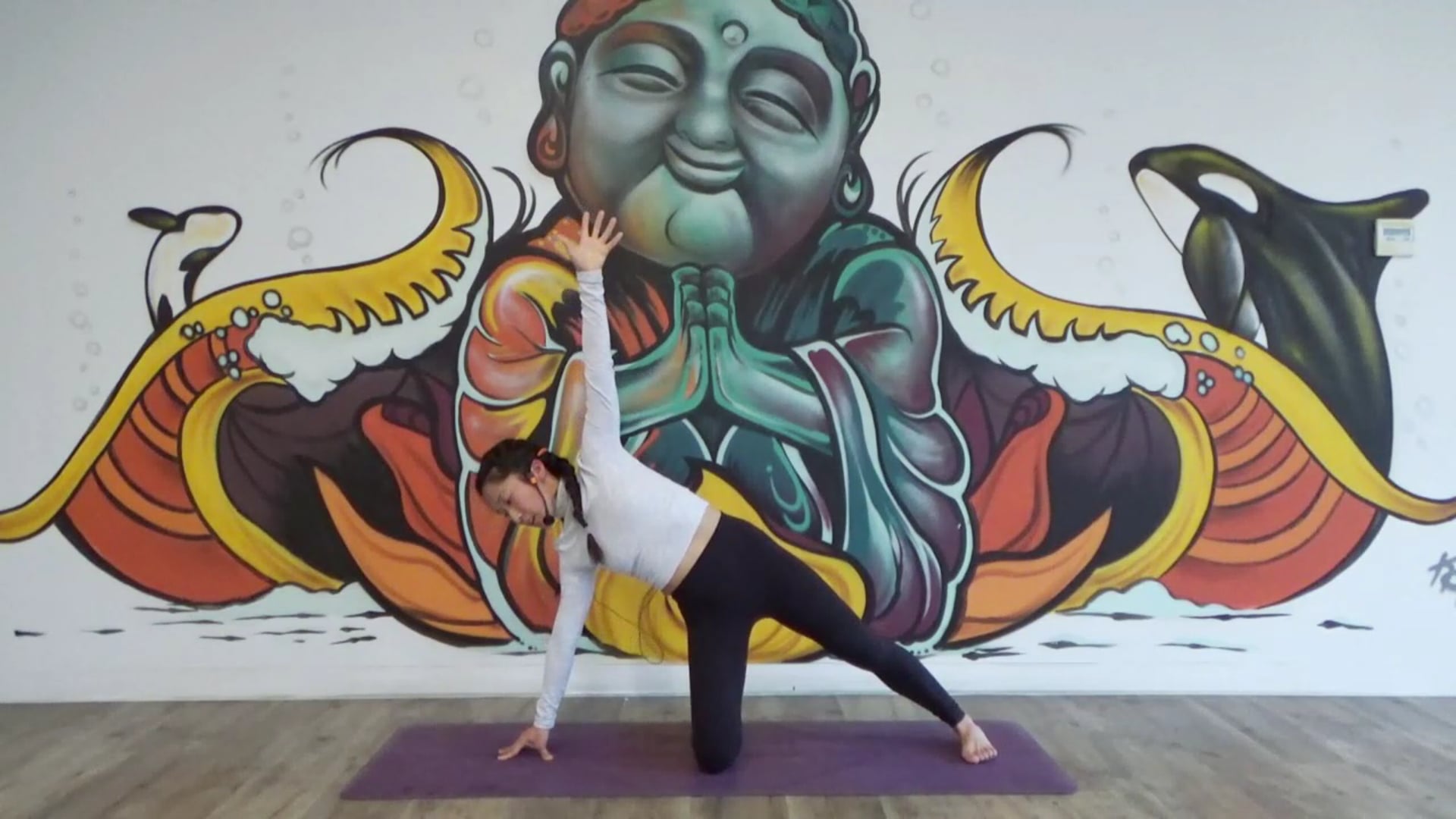 No Chaturanga Power Flow