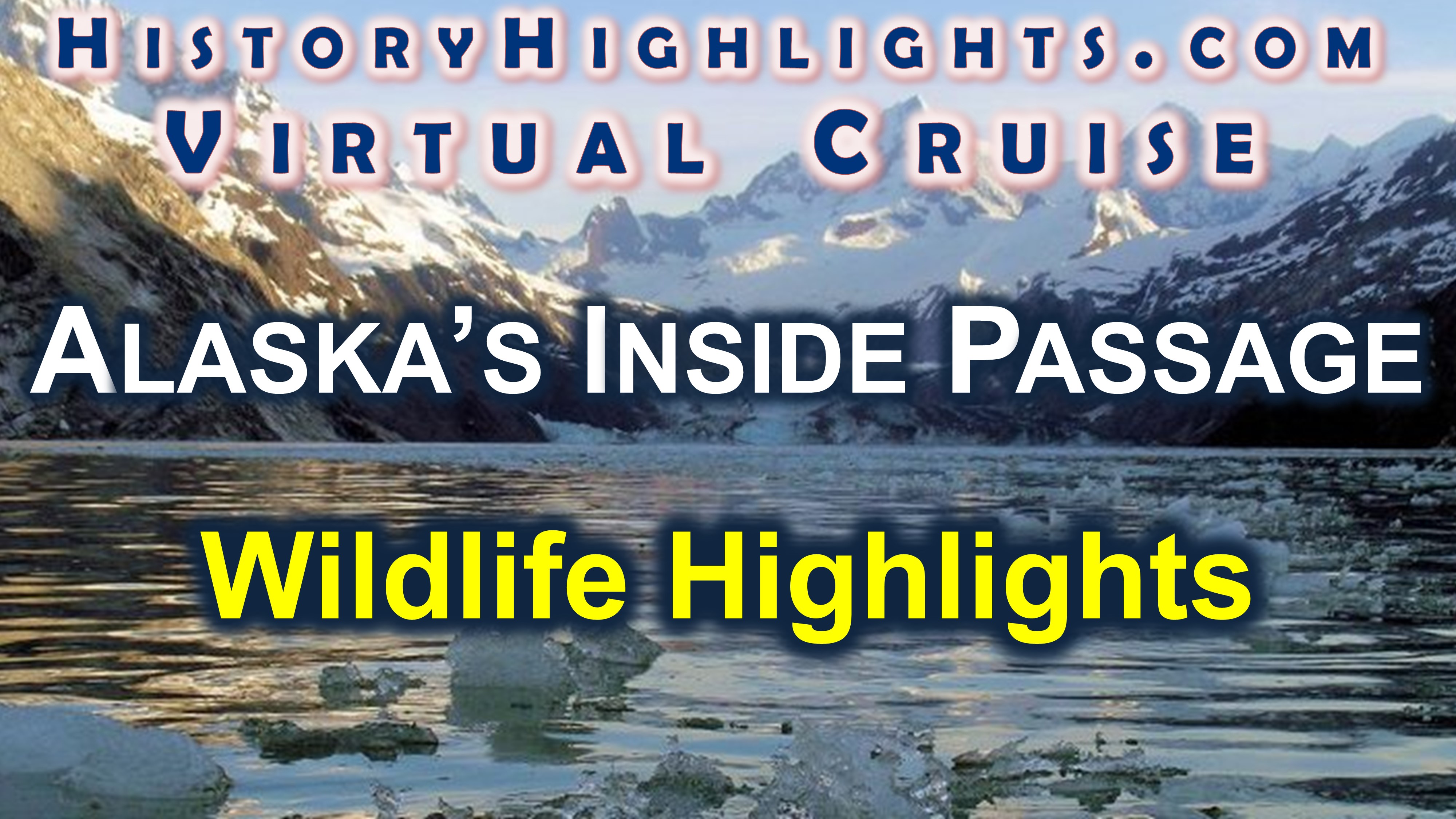 Alaska Wildlife Highlights Series